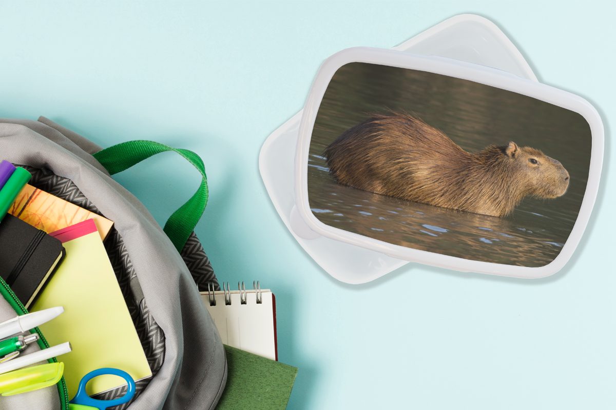 MuchoWow Lunchbox Capybara Brotbox Erwachsene, für Jungs (2-tlg), Kunststoff, und weiß Wasser, im steht und für Brotdose, Ein Mädchen Kinder