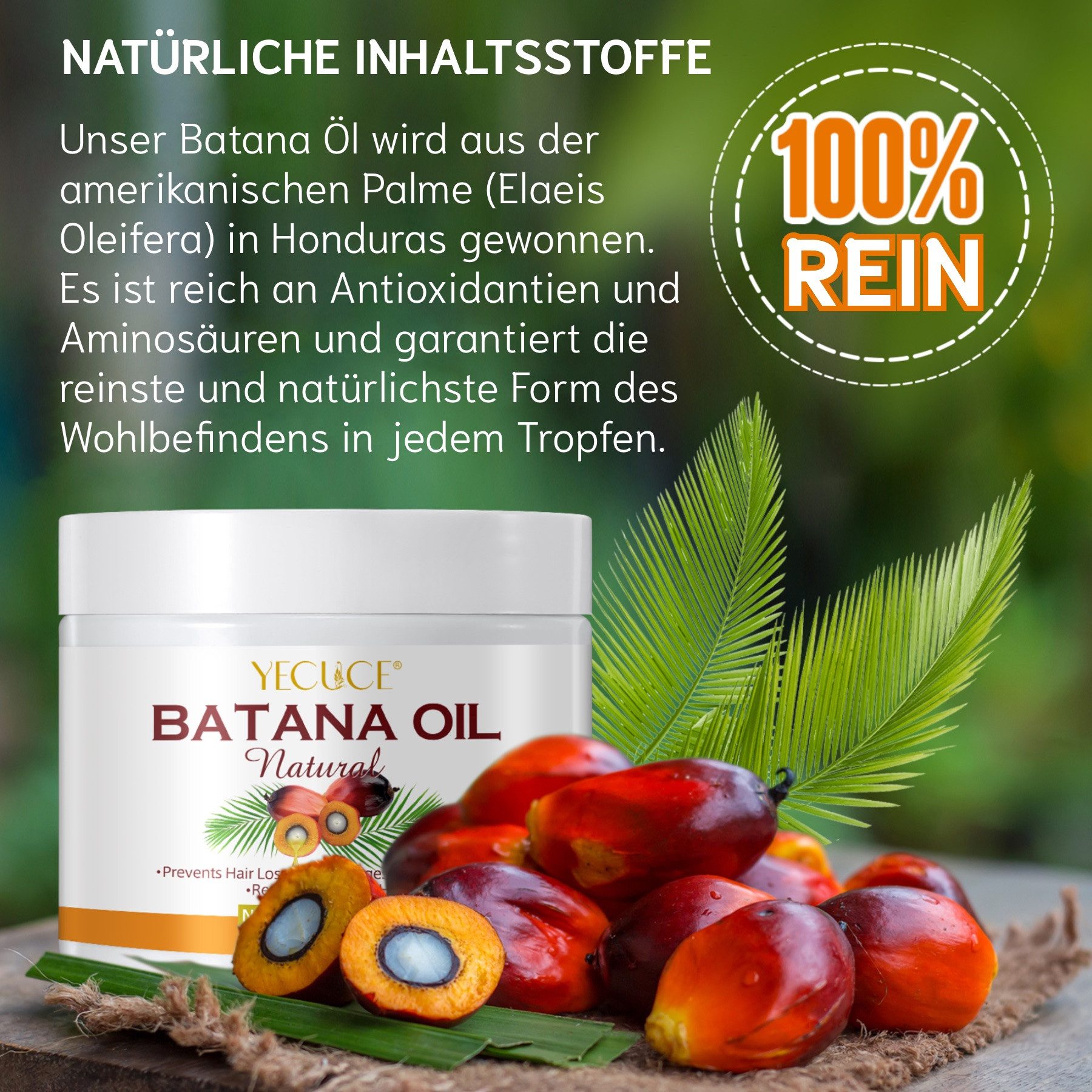 P-Beauty Cosmetic Accessories Haaröl Batana Öl für Haare Haarwachstum Haarpflege Gesicht Haut Nägel 220g, 1-tlg., Haarwachstumsmittel, Haarpflege