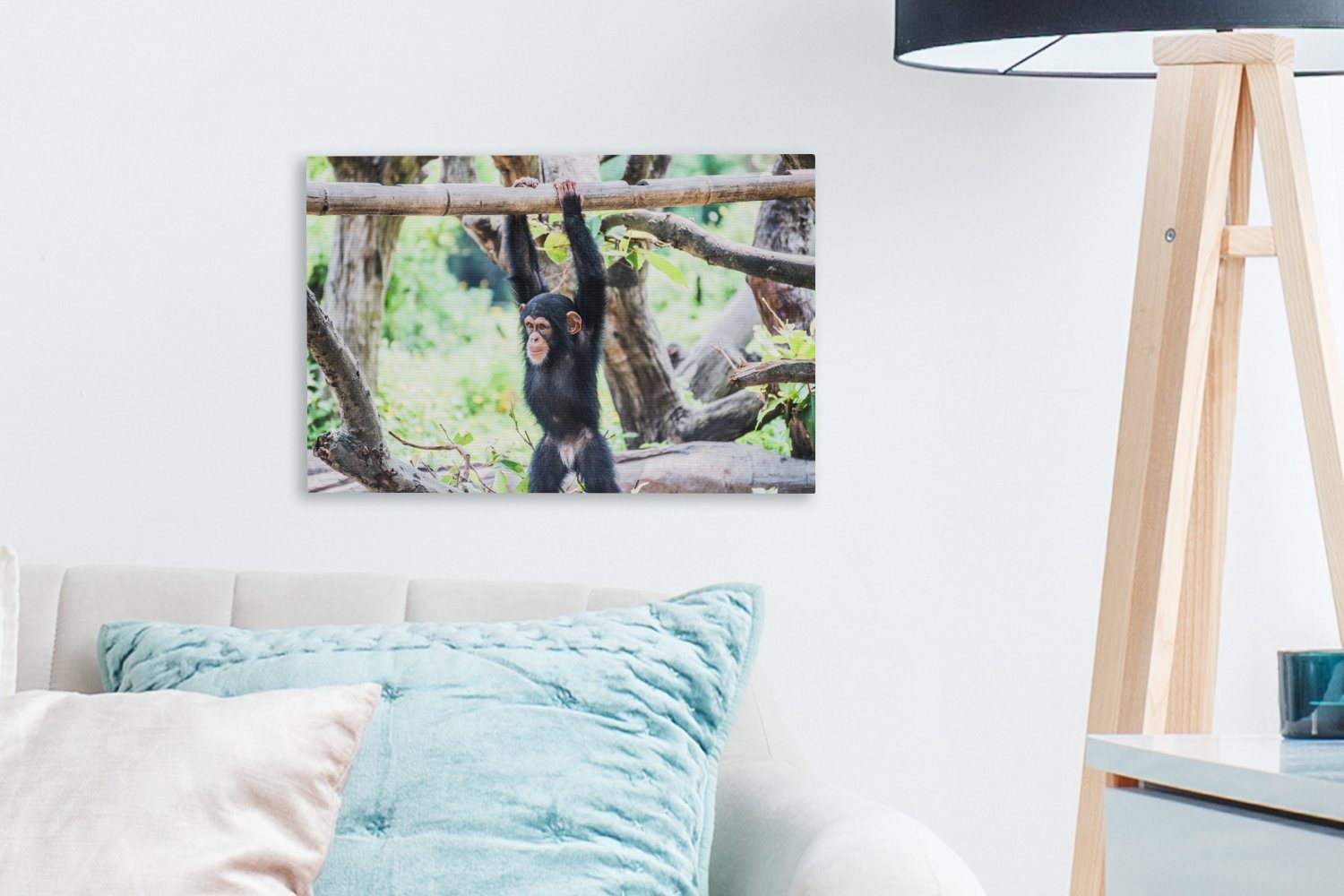 Leinwandbilder, hängt Wanddeko, Wandbild Natur, Leinwandbild der an OneMillionCanvasses® inmitten Ein 30x20 Aufhängefertig, (1 St), junger Schimpanse cm einem Ast