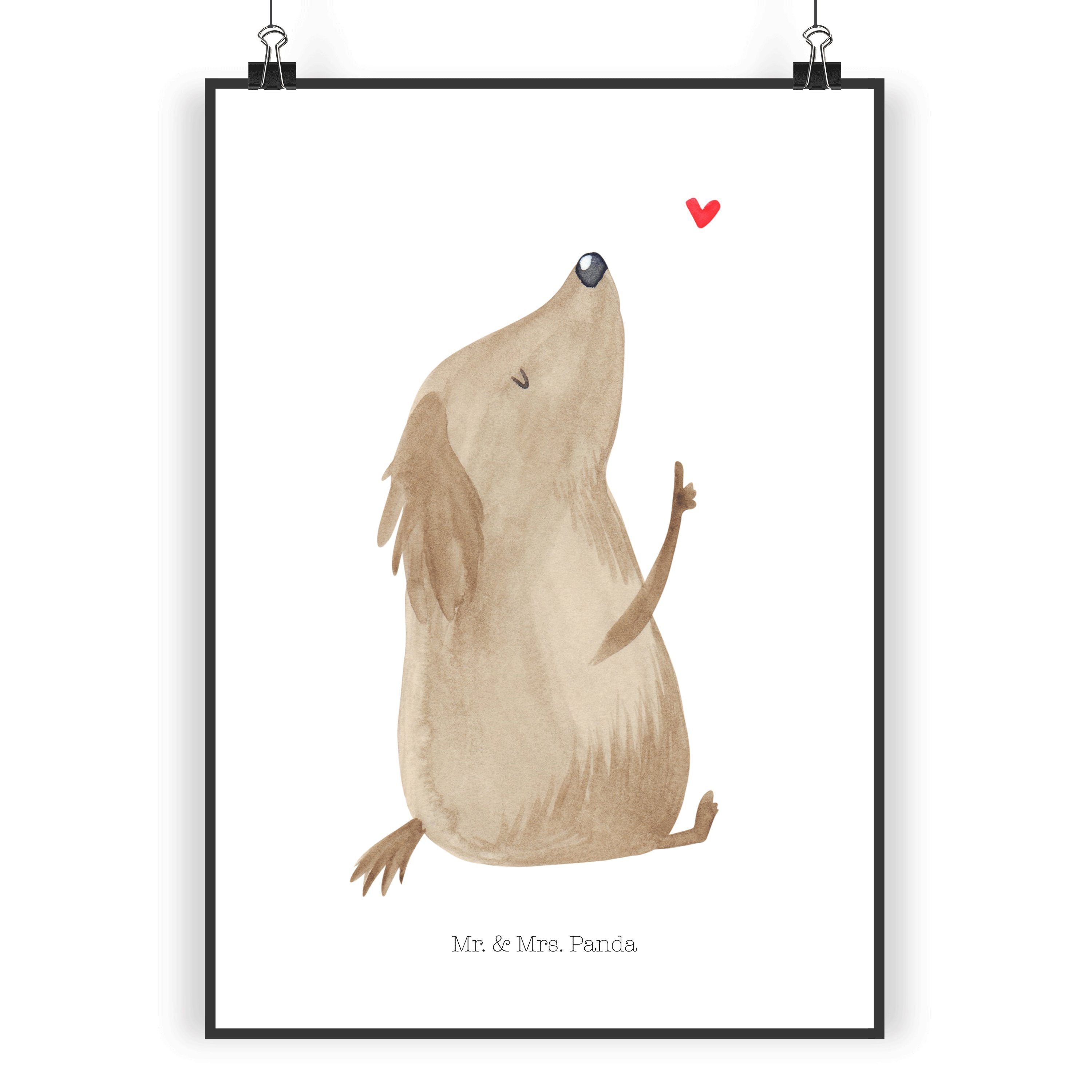 Poster DIN A5 Hund Liebe - Weiß - Geschenk, Küchenposter, Designposter, Hund