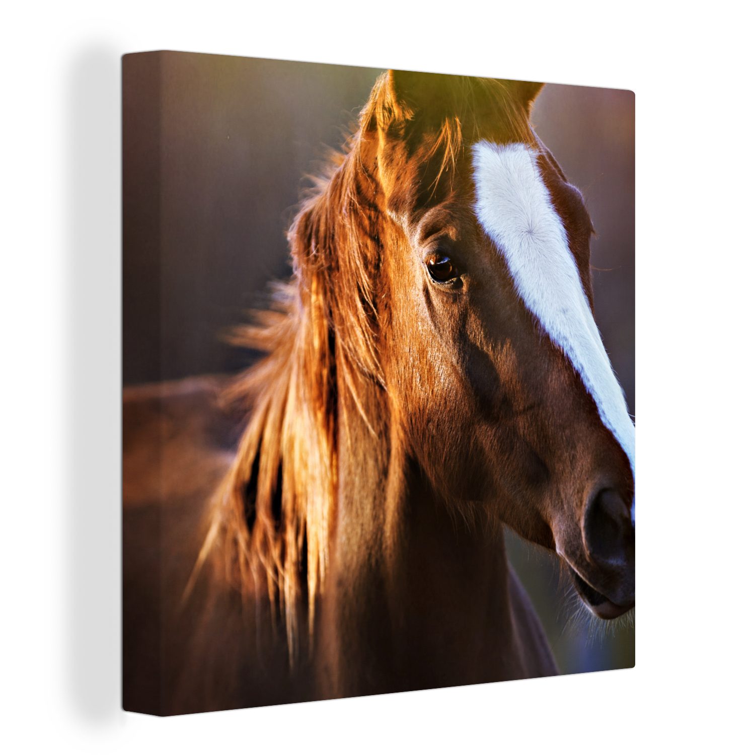 OneMillionCanvasses® Leinwandbild Pferd - Licht - Mantel, (1 St), Leinwand Bilder für Wohnzimmer Schlafzimmer bunt