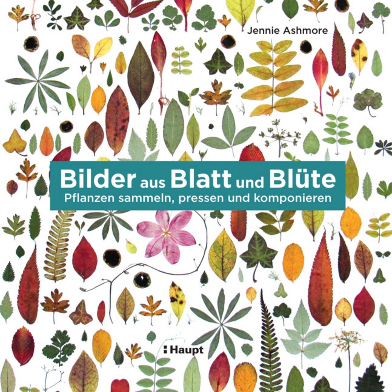 Bilder aus Blatt und Blüte / Jennie Ashmore, Waltraud Kuhlmann