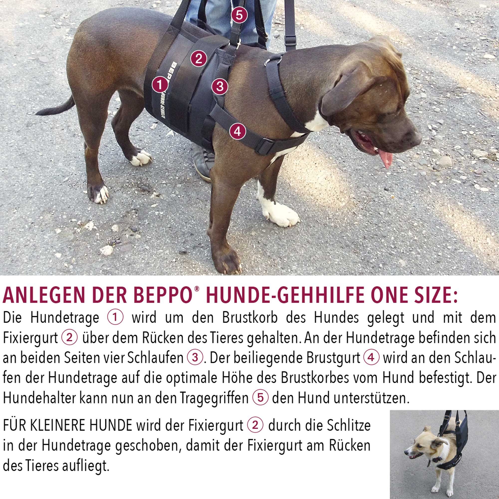 Schecker Hunde-Sicherheitsgeschirr Beppo® Hunde Gehhilfe One-Size, Neopren, Hundetrage 20x70 cm, geeignet für Hunde mit Brustumfang 55 - 125 cm, Auflagefläche am Bauch: 20 cm