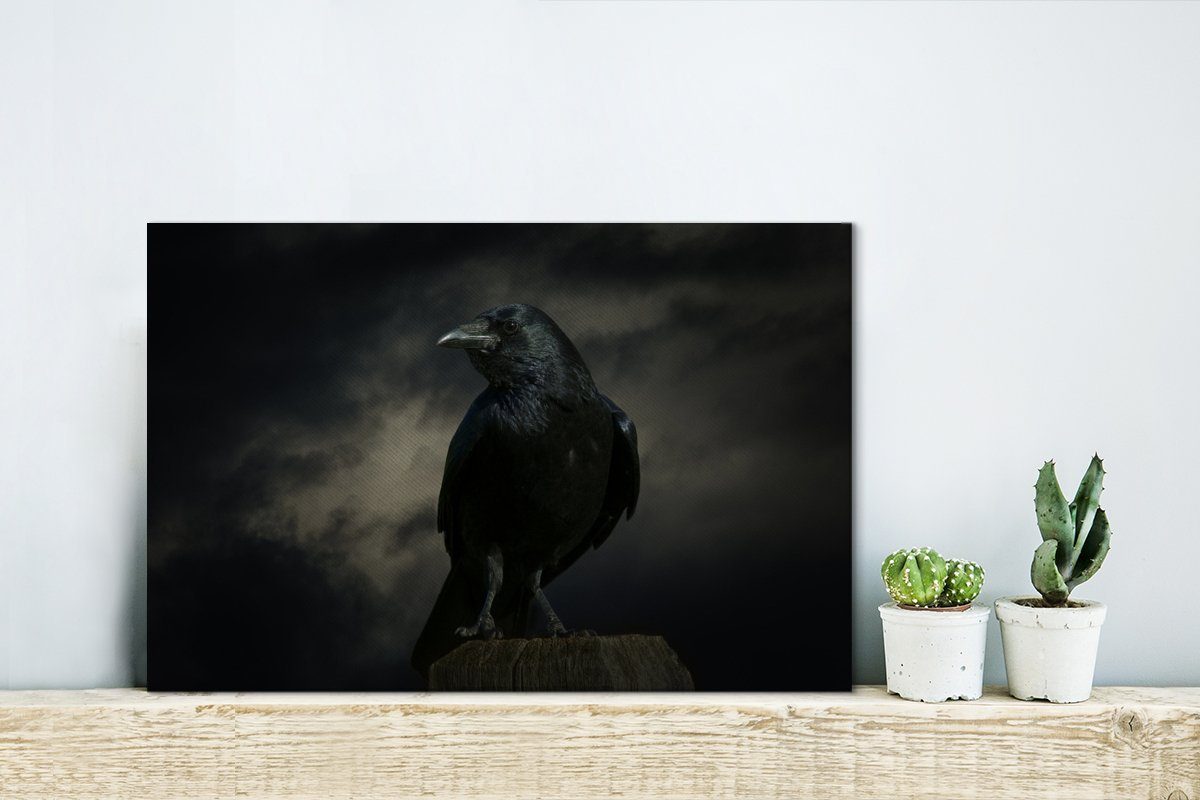 OneMillionCanvasses® Leinwandbild Vogel - Krähe - günstig online kaufen