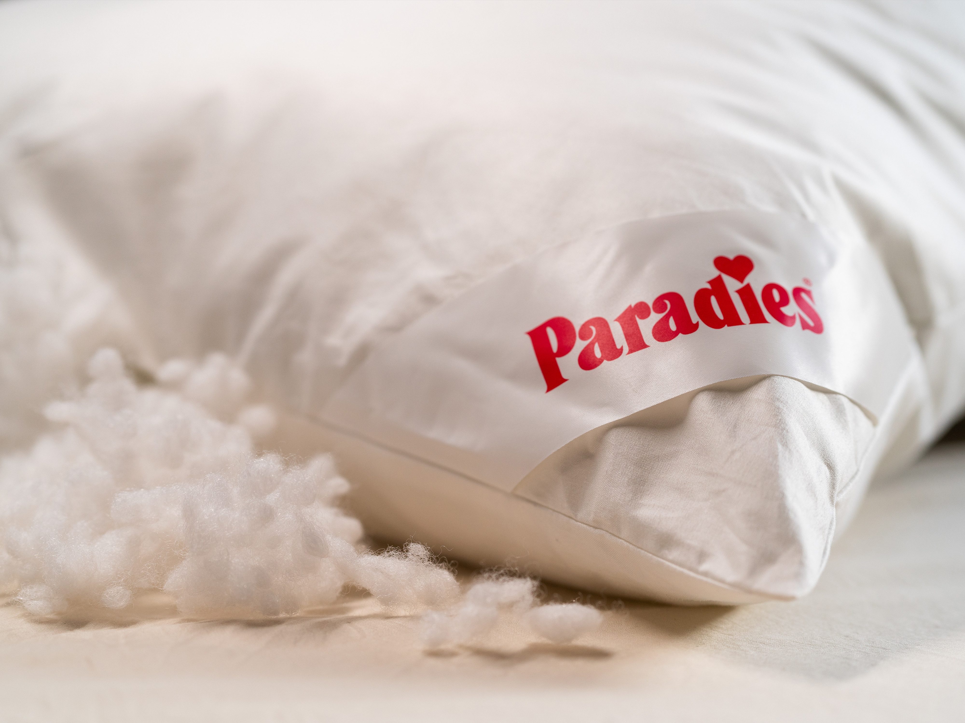 Paradies Sofakissen Softy Kuschelkissen 50x50 cm 2-er Set, (Set, 2 Stück), Kleinkissen geeignet als Dekokissen oder Kopfkissen