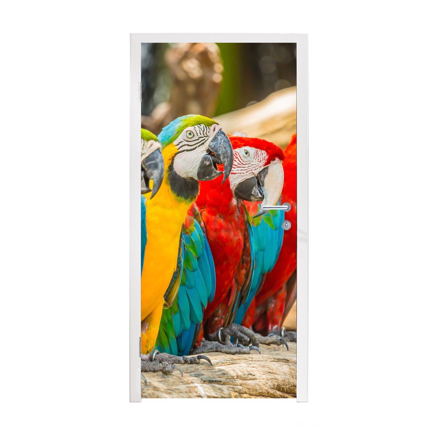 MuchoWow Türtapete Vögel - Papagei - Tropisch - Natur, Matt, bedruckt, (1 St), Fototapete für Tür, Türaufkleber, 75x205 cm
