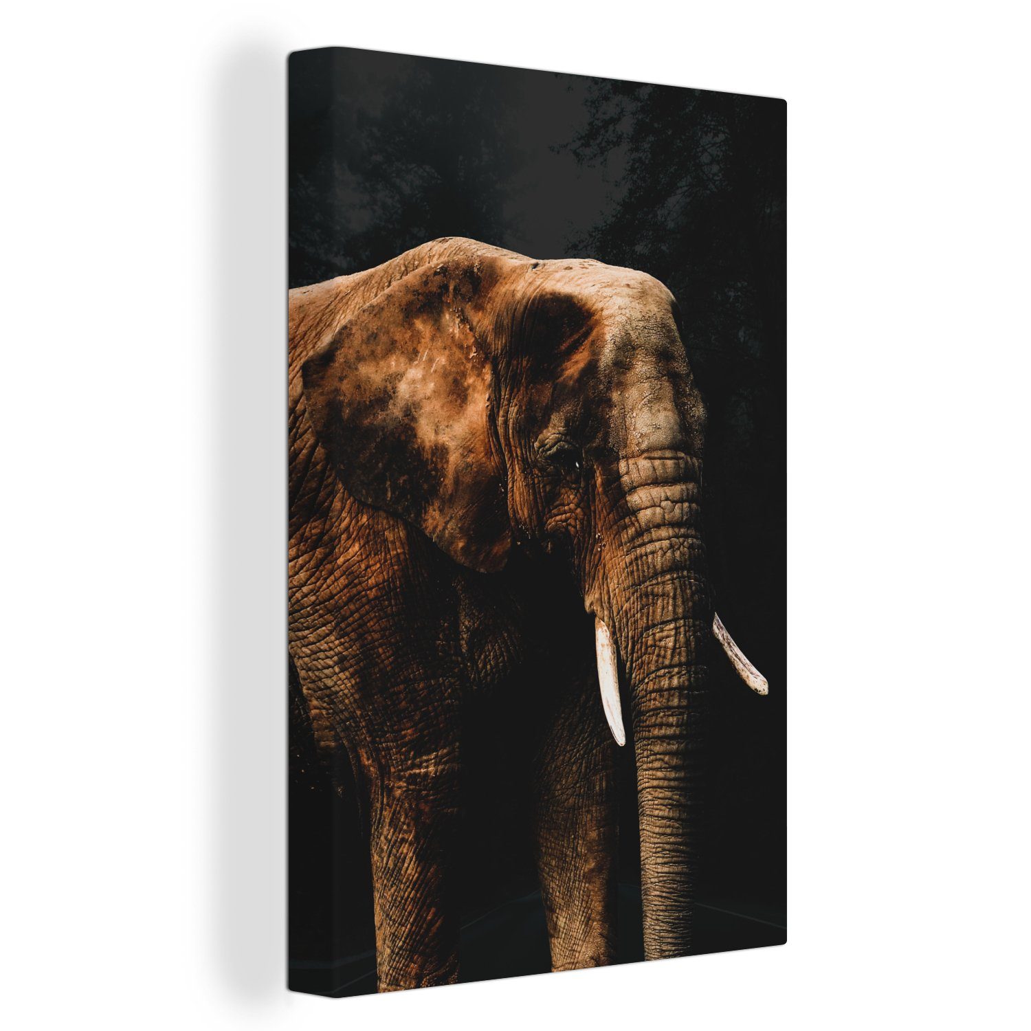 OneMillionCanvasses® Leinwandbild Elefant Farbe, St), Gemälde, (1 Leinwandbild cm fertig - Schwarz 20x30 inkl. Zackenaufhänger, bespannt 