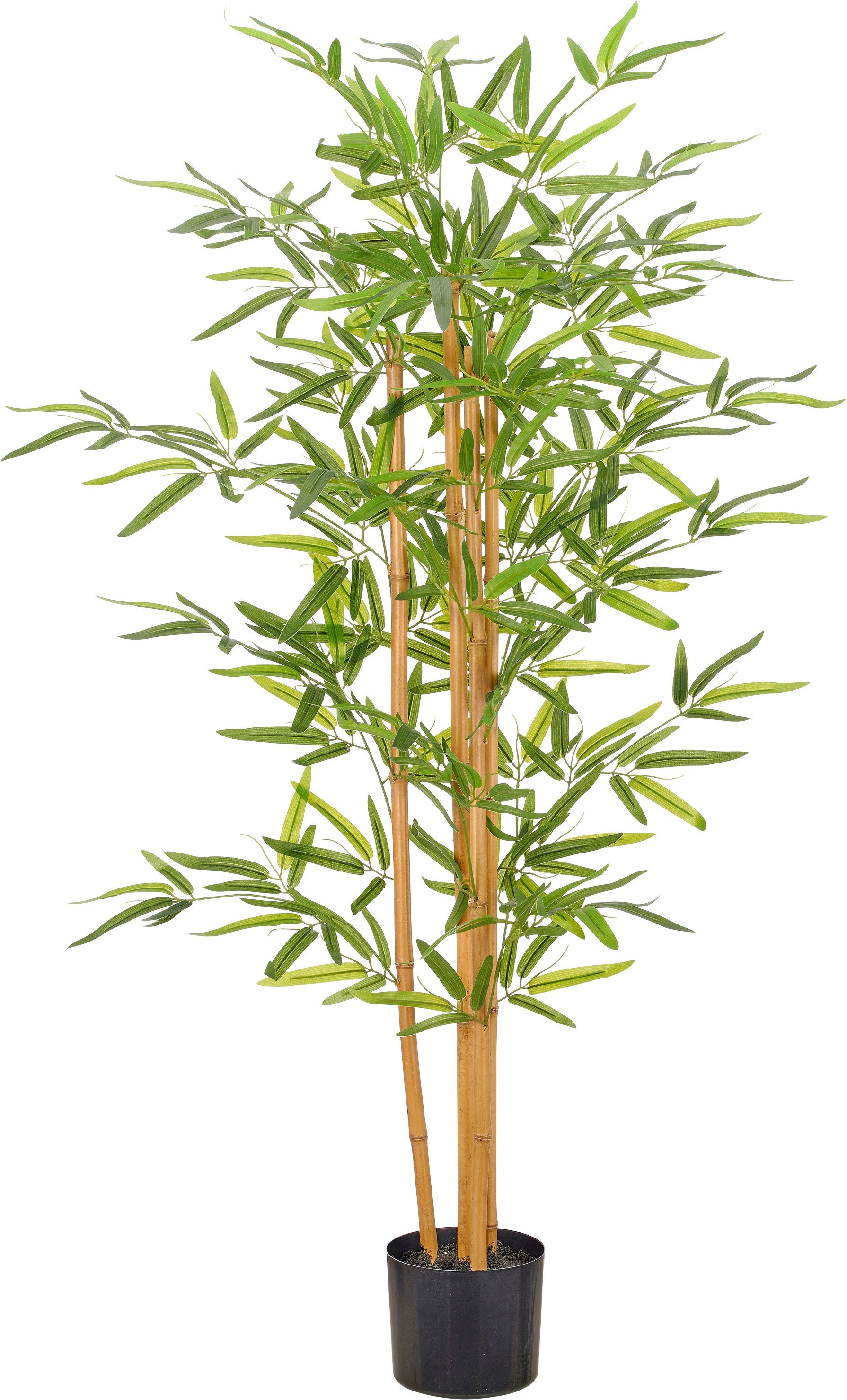 Kunstbambus Bambus, Creativ green, Höhe 125 cm, mit schönem Blattwerk