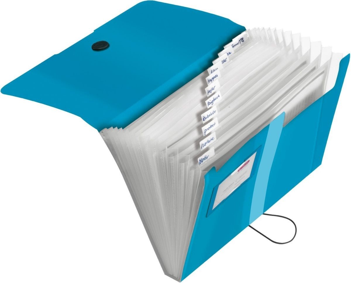 Herlitz Fächermappe Fächermappe A4 PP 12 Fächer blau transparent to go