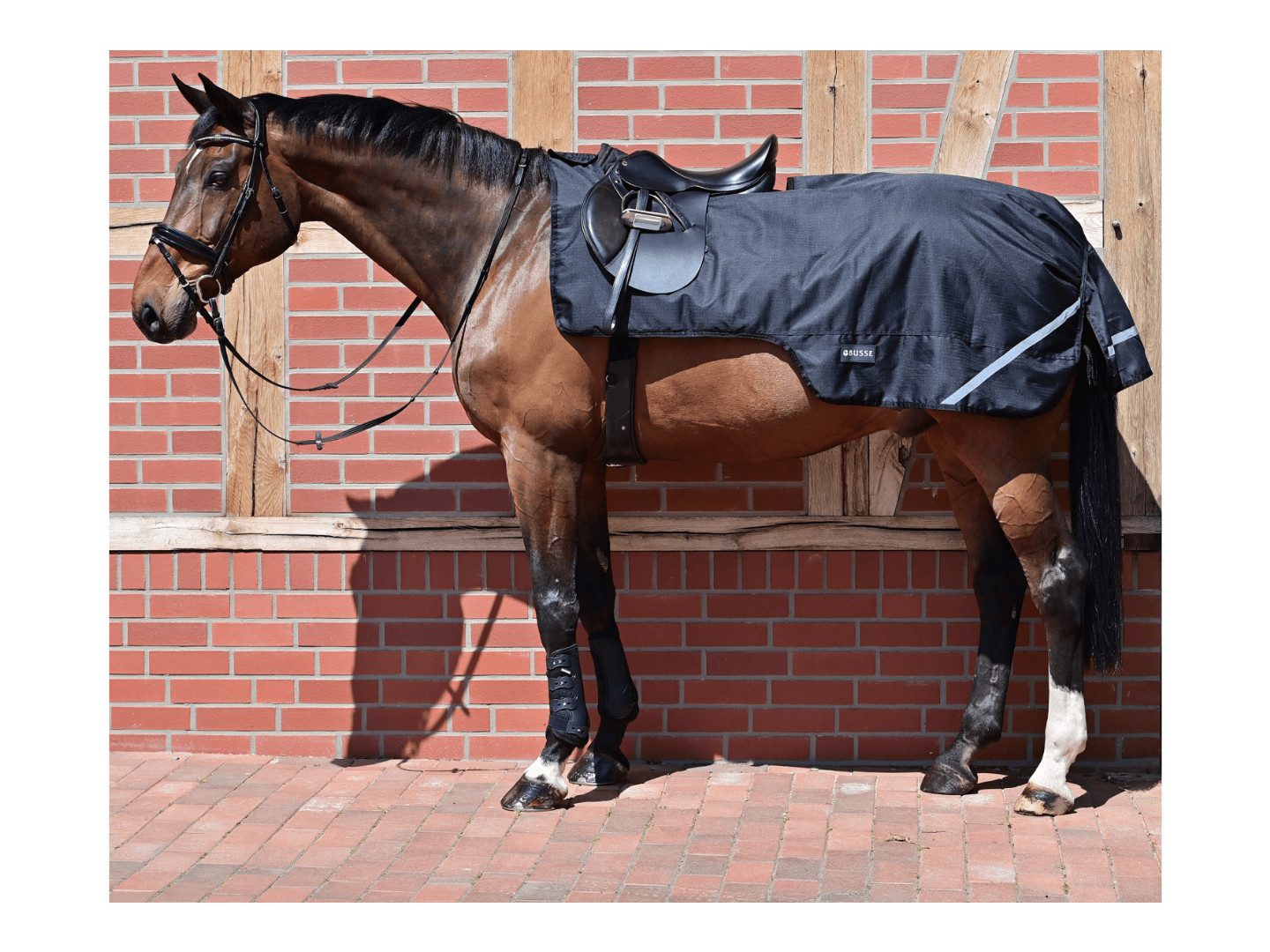 BUSSE Ausreitdecke Ausreitdecke RainTrainer 100