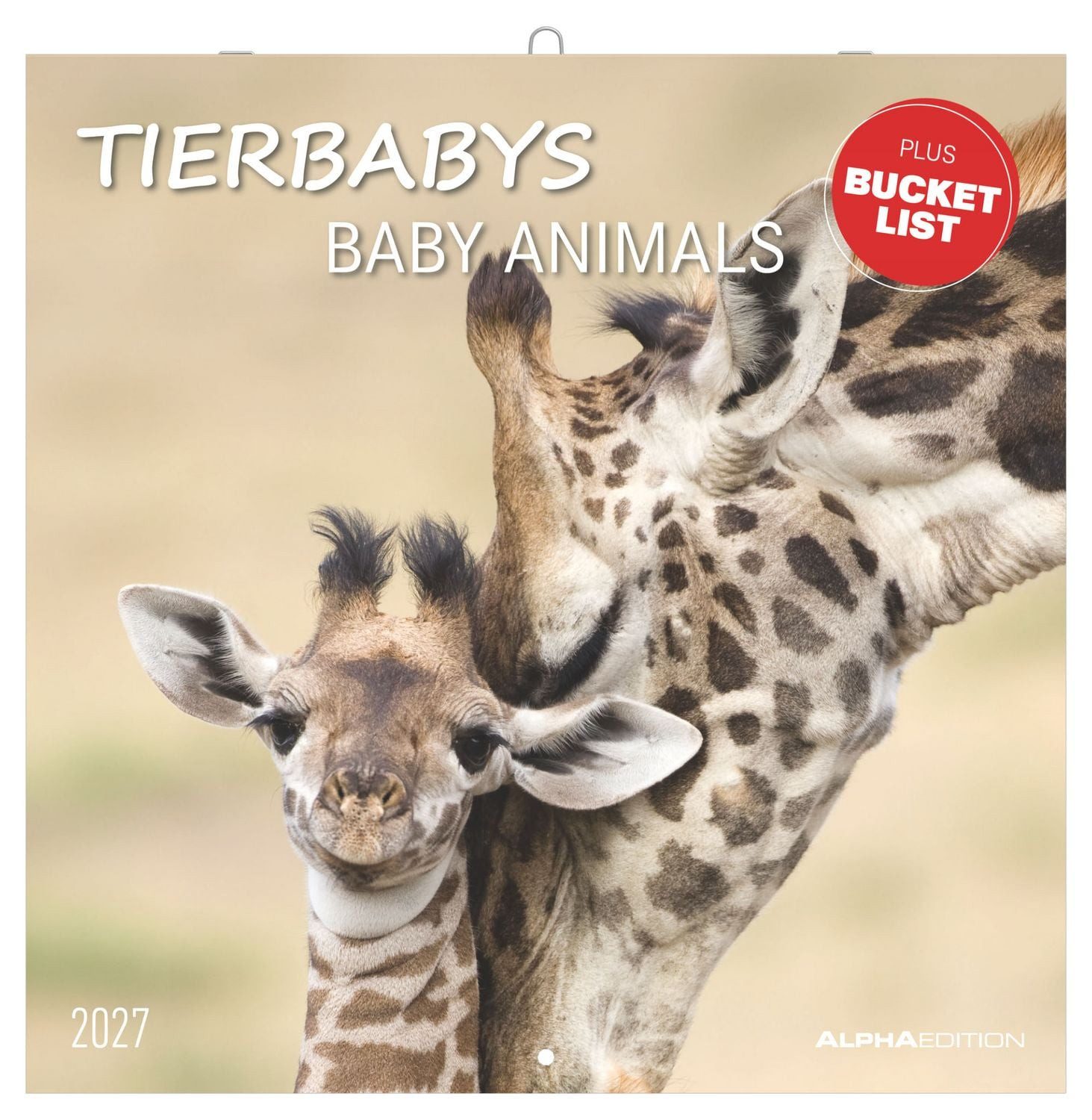 Wandkalender Tierbabys 2027