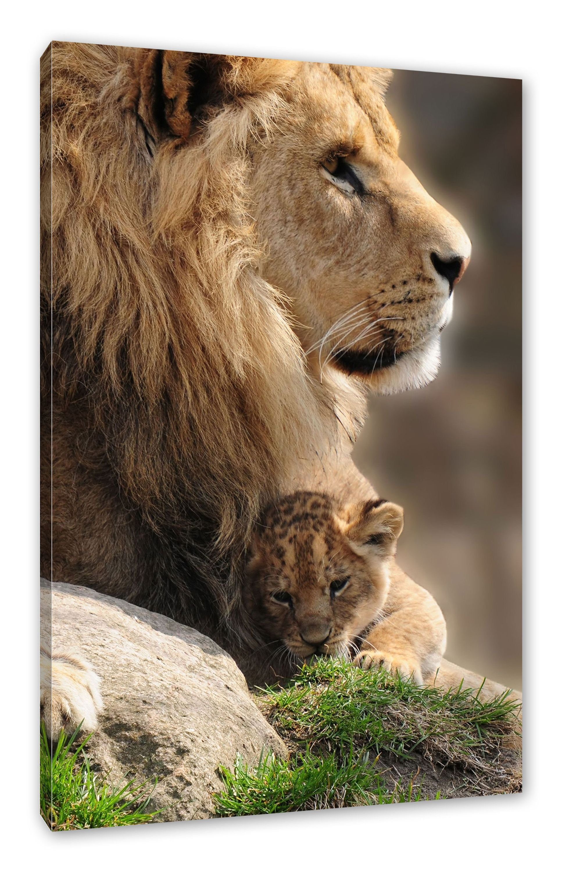Pixxprint Leinwandbild Löwe mit Löwenbaby, Löwe mit Löwenbaby (1 St), Leinwandbild fertig bespannt, inkl. Zackenaufhänger | Leinwandbilder