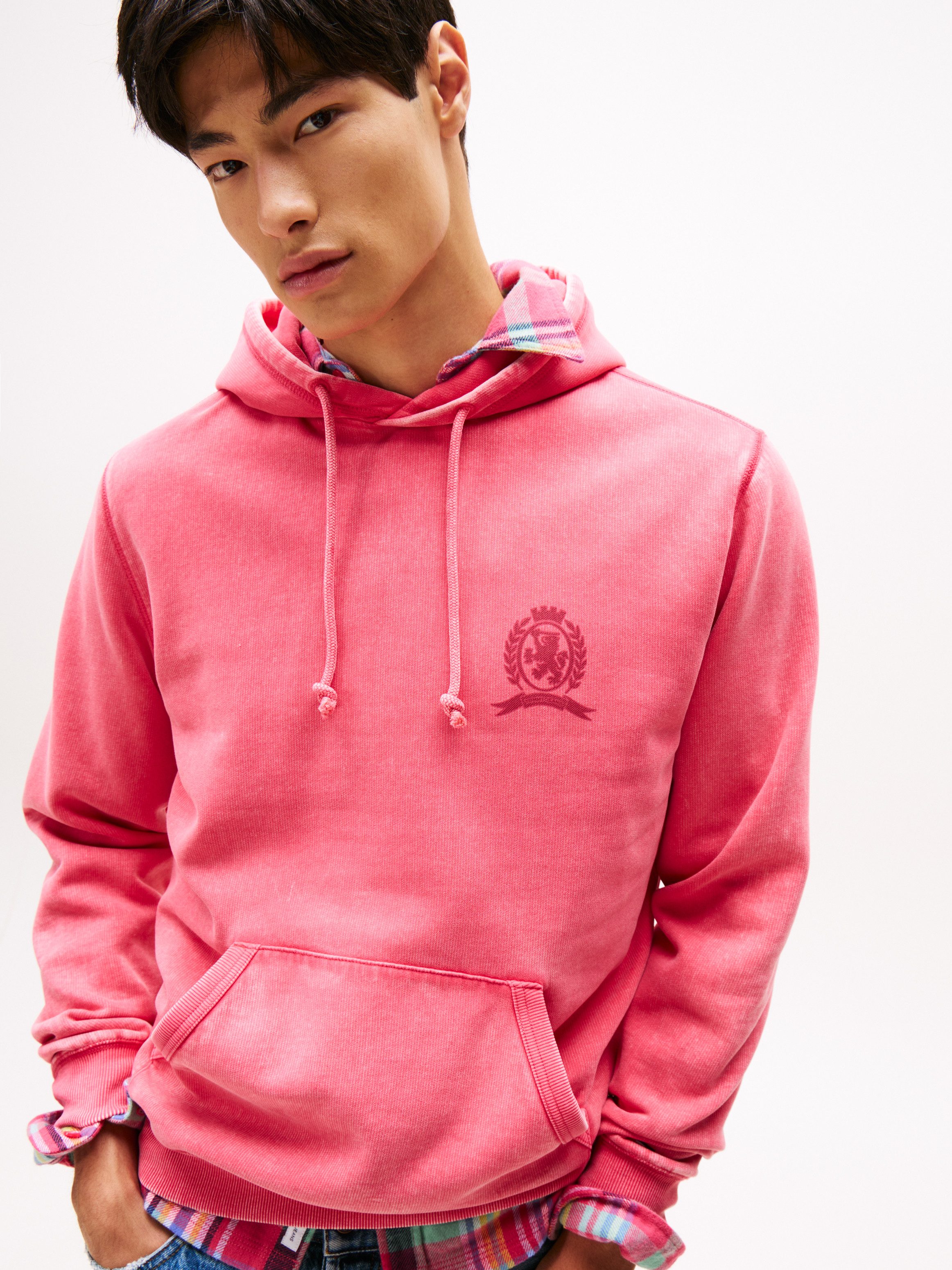 Tommy Jeans Hoodie TJM WASHED CREST günstig online kaufen