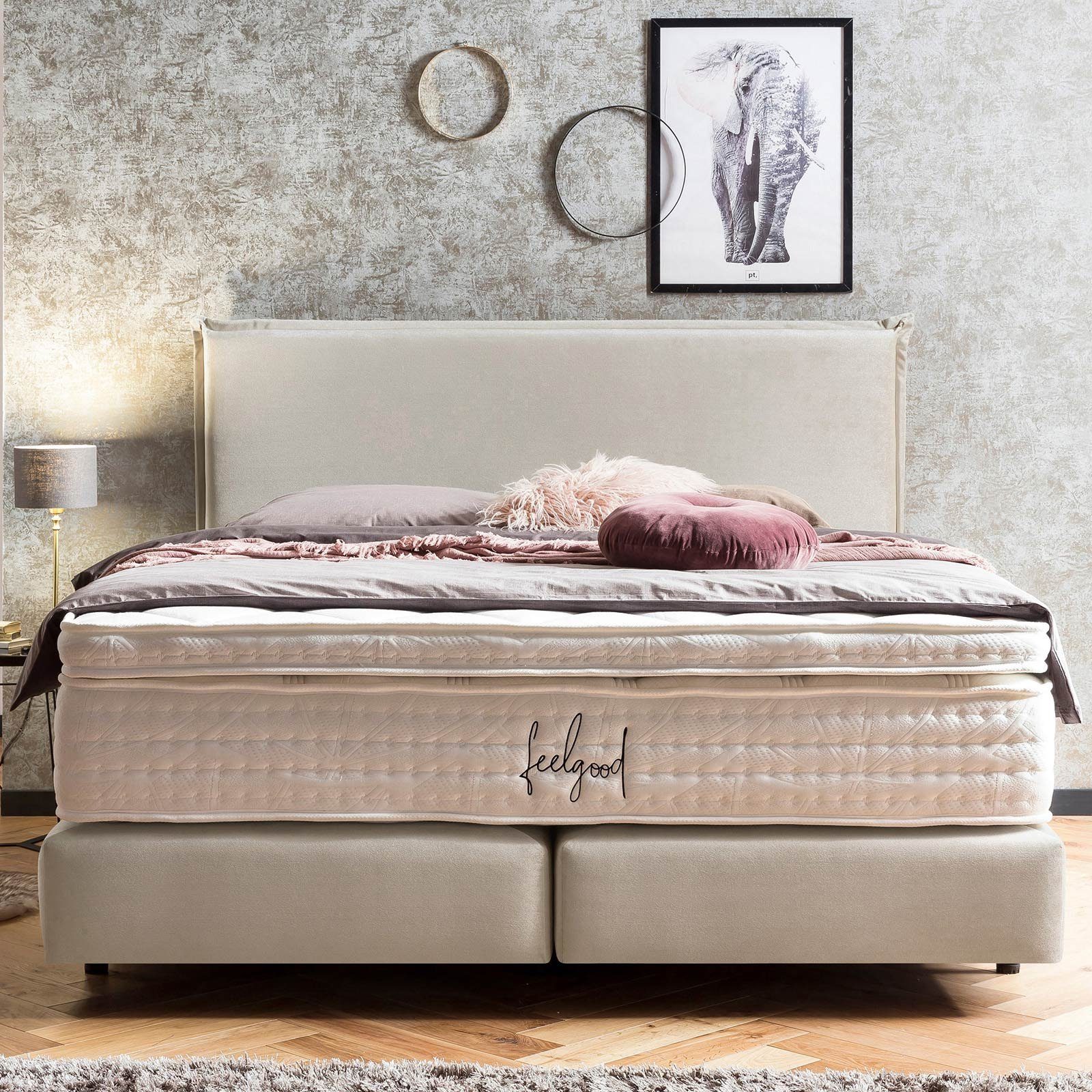 BettCo Boxspringbett London (in Creme Samt, günstig online kaufen