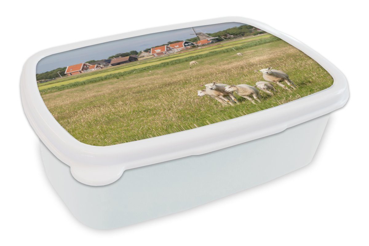MuchoWow Lunchbox Schafe und eine Mühle auf Ameland, Kunststoff, (2-tlg), Brotbox für Kinder und Erwachsene, Brotdose, für Jungs und Mädchen weiß