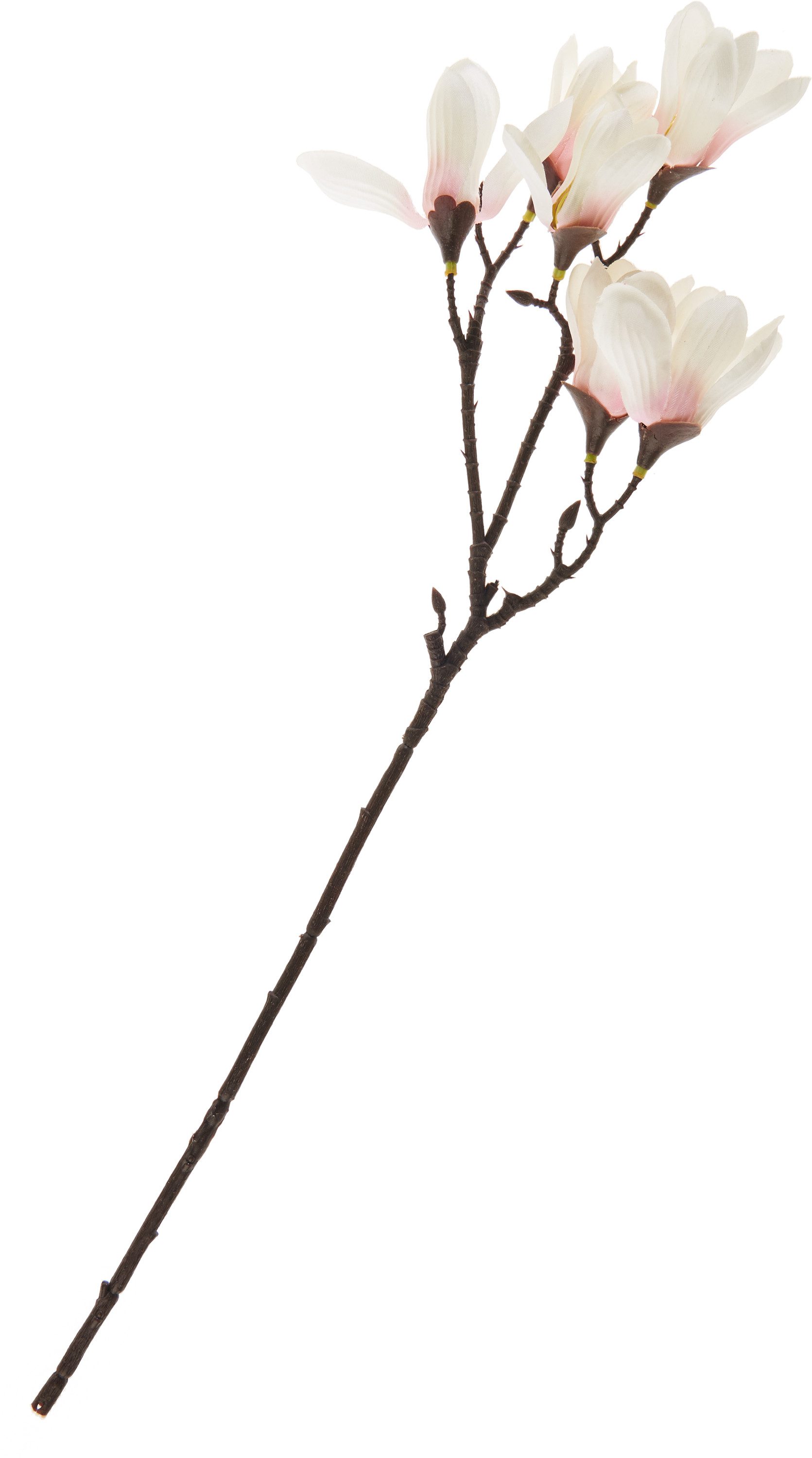 Kunstzweig Magnolien-Pick mit 6 Blüten, DPI, 1 Stück, 49 cm lang