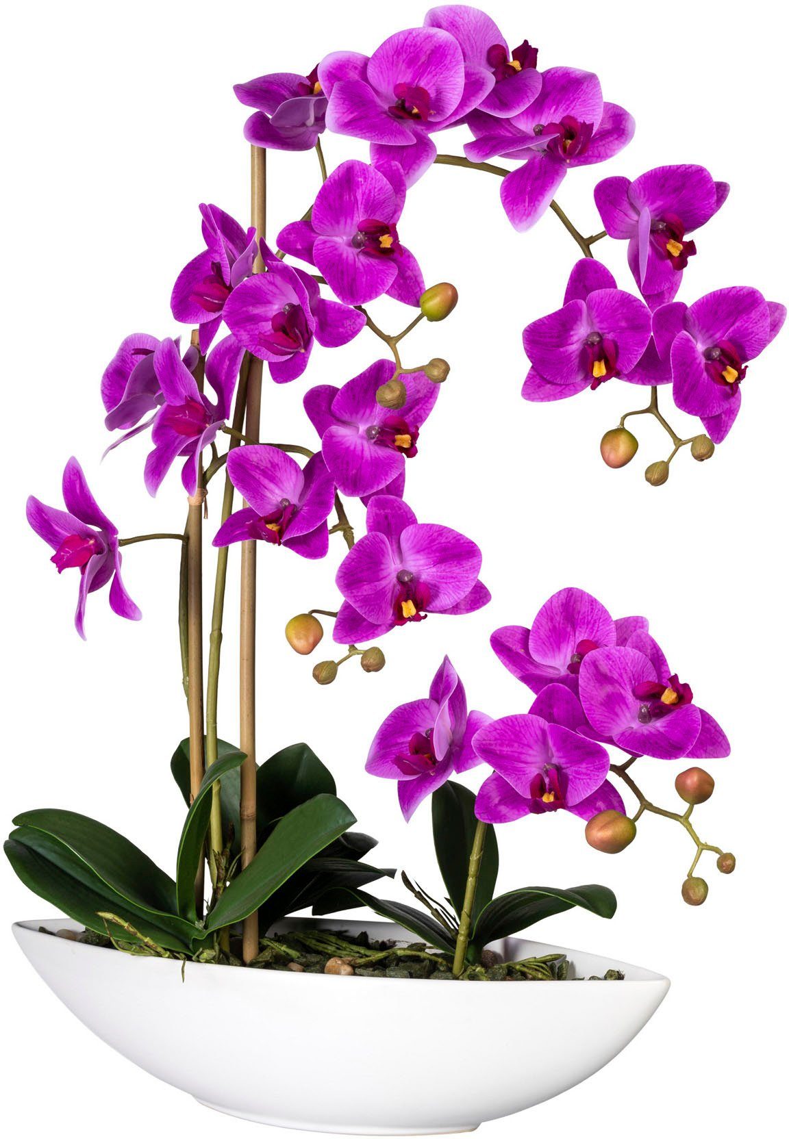 Creativ im Höhe green, 60 lila Keramikschiff Phalaenopsis cm, Orchidee Kunstorchidee Phalaenopsis,