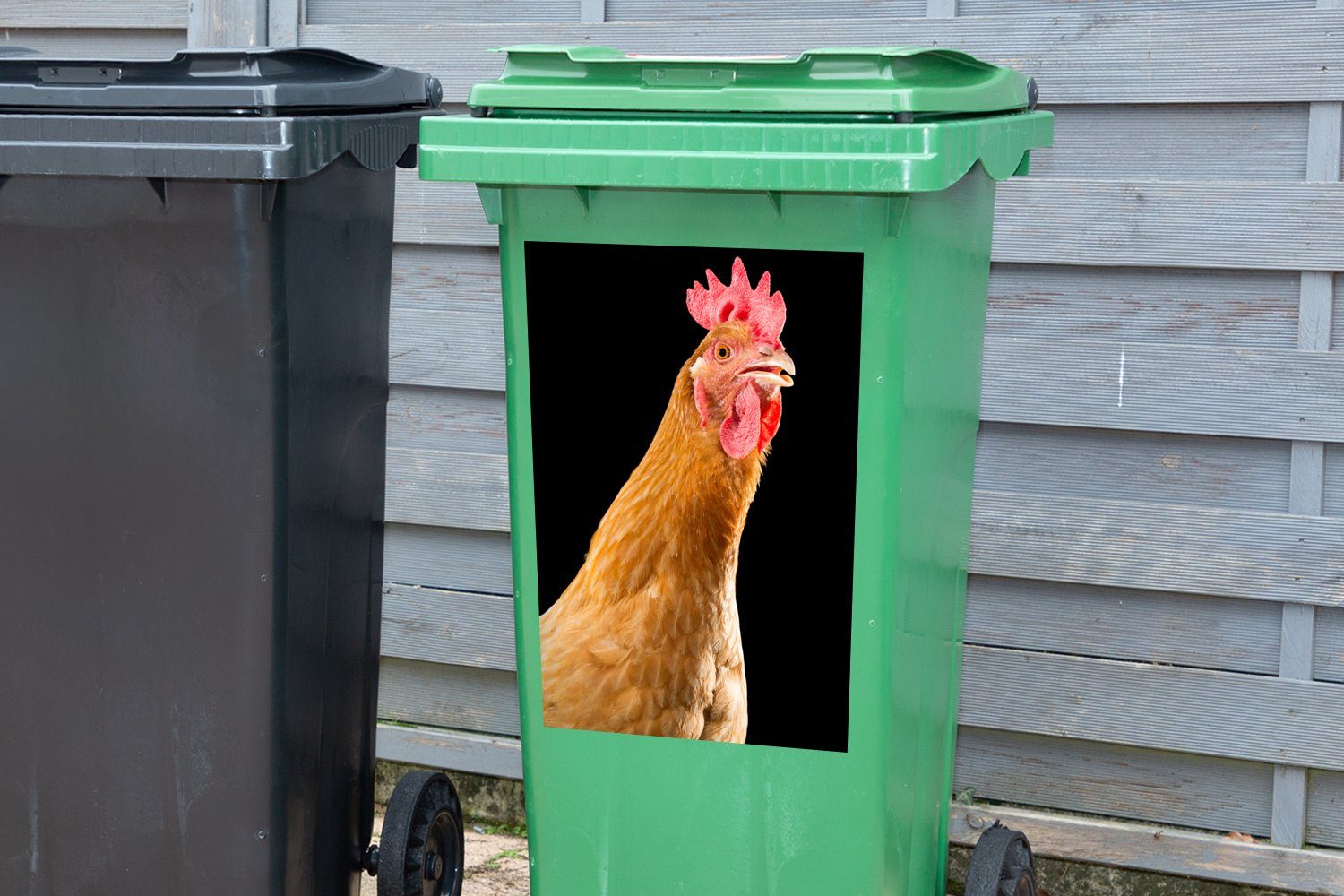 MuchoWow Wandsticker Hahn schaut in Kamera St), Container, Hintergrund vor Abfalbehälter die schwarzem Sticker, (1 Mülltonne, Mülleimer-aufkleber