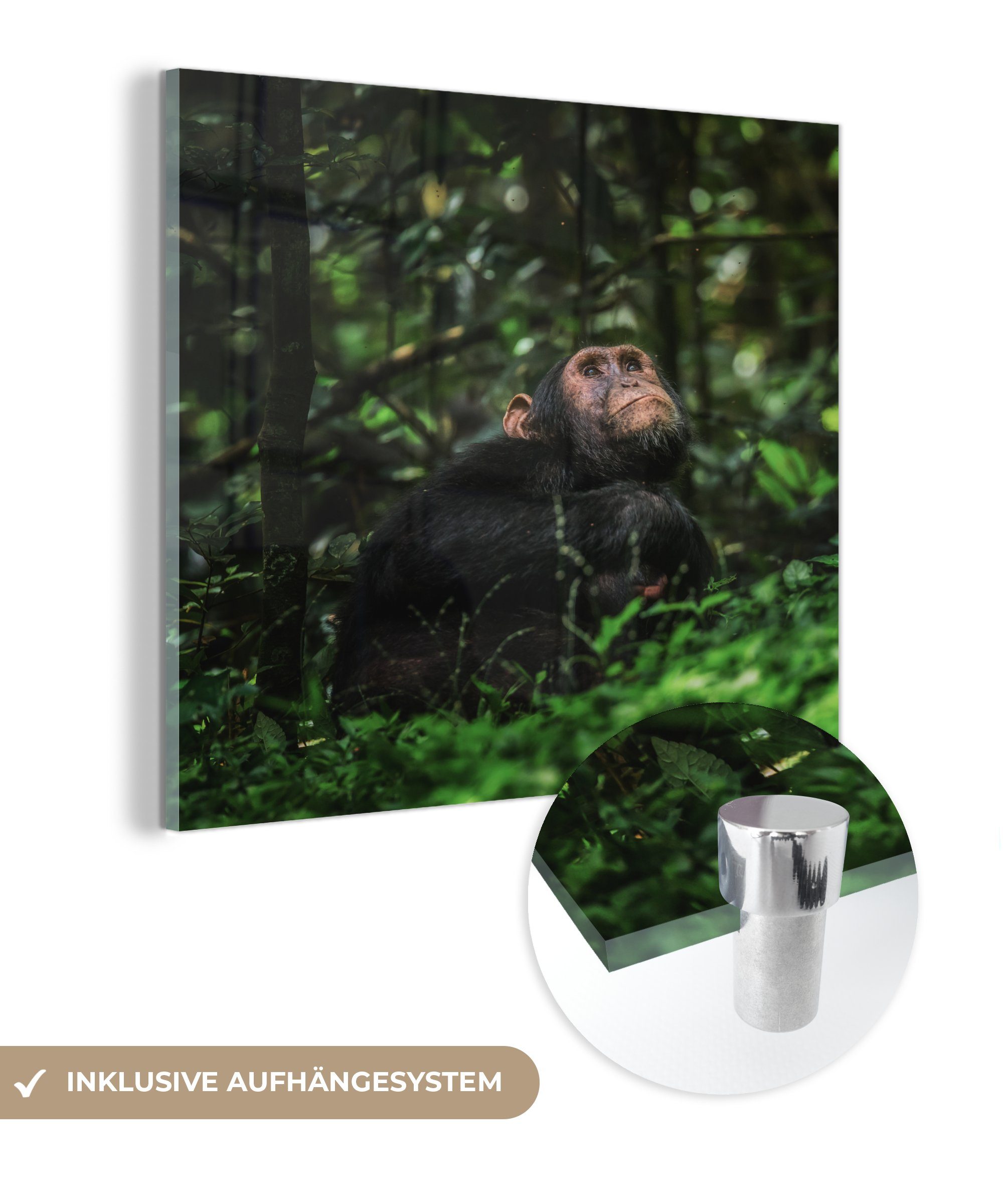 MuchoWow Acrylglasbild App zwischen Grünpflanzen im Dschungel, (1 St), Glasbilder - Bilder auf Glas Wandbild - Foto auf Glas - Wanddekoration
