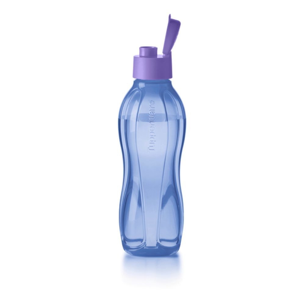 TUPPERWARE Trinkflasche Tupperware EcoEasy Trinkflasche 750ml in bau violett