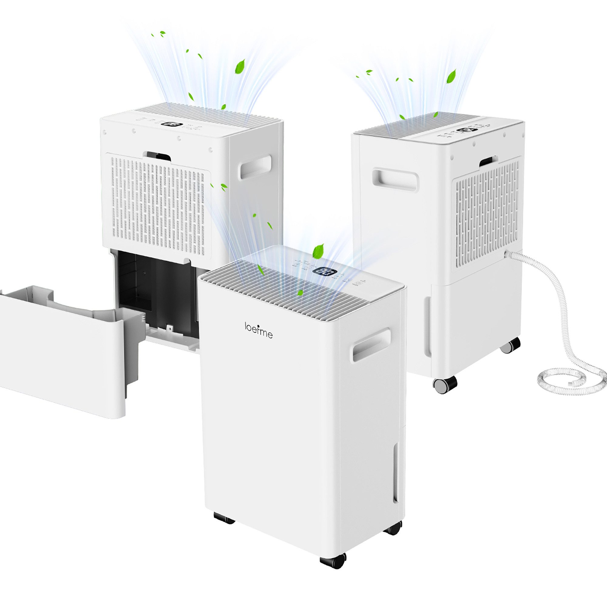 loefme Luftentfeuchter Luftentfeuchter Elektrisch, 10L/24H, leise Raumentfe günstig online kaufen