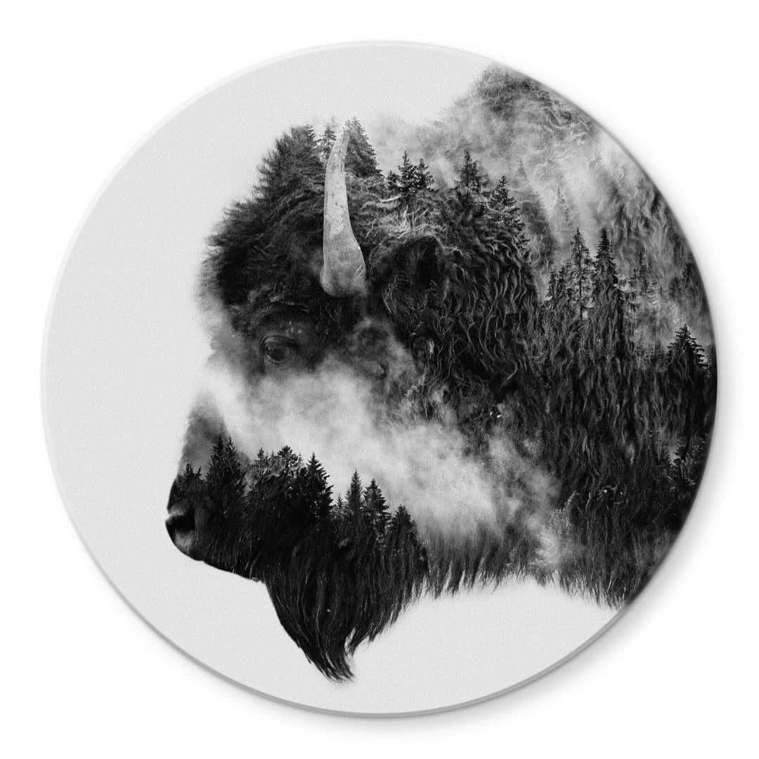 K&L Wall Art Glasbild Glas Wandbild Rund Glasbild Fotokunst Angyalosi Schwarz-Weiß Bison, Wandschutz Deko Bilder