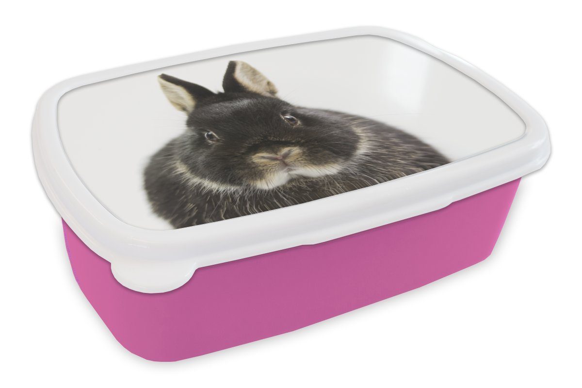 Fell, Kunststoff, Haustiere Kaninchen Erwachsene, - rosa für Brotdose Kinder, - Brotbox (2-tlg), Lunchbox Kunststoff Snackbox, Mädchen, MuchoWow