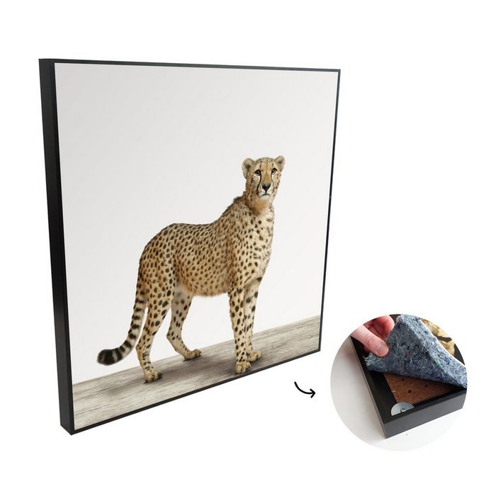 MuchoWow Akustikplatte Leopard - Tiere - Weißer Hintergrund - Kinder - Jungen - Mädchen (1-St) Wandverkleidung gegen Akustik Moderne Gemälden Bild Malerei
