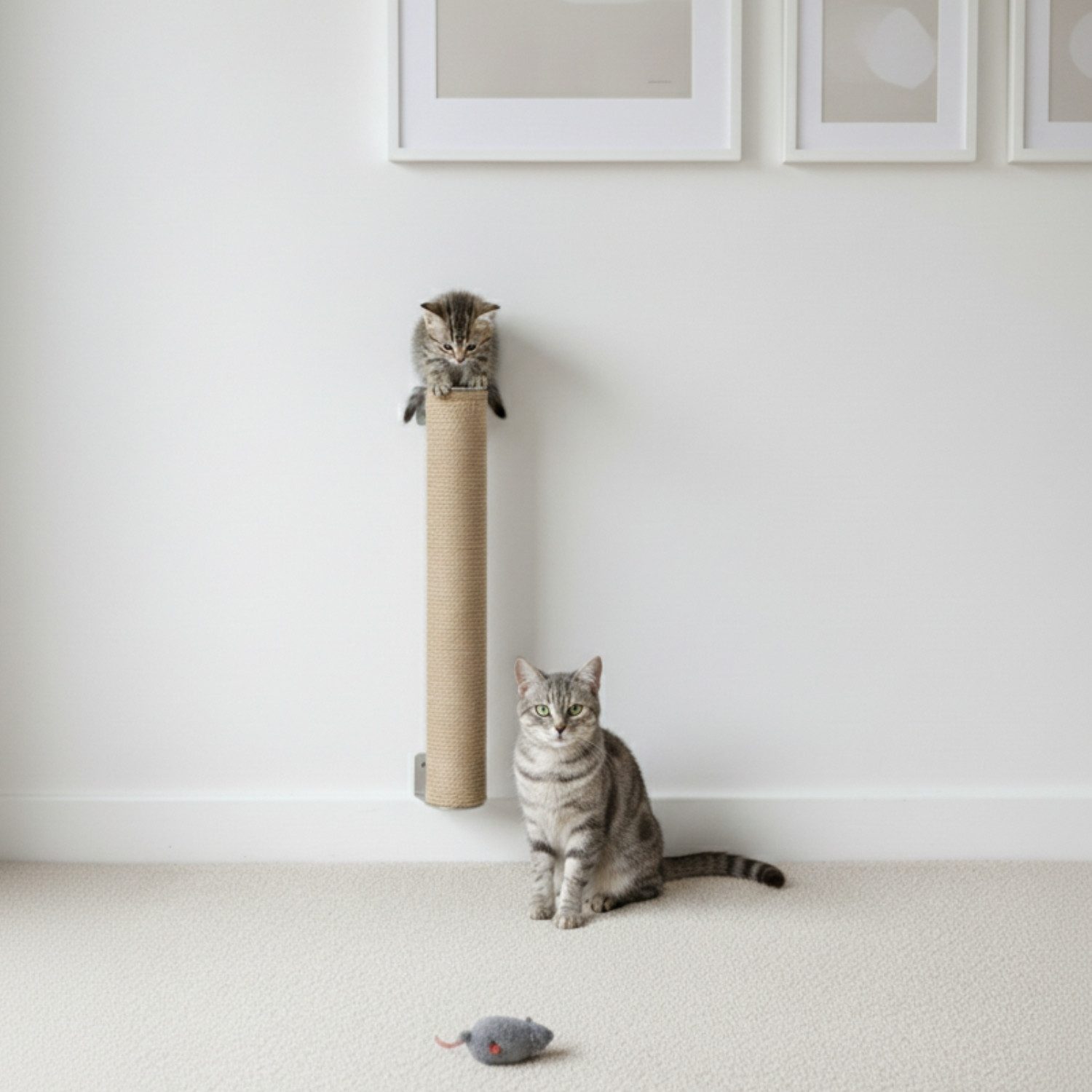 eyepower Kratzbaum zur Wandmontage - 60 cm Wandkratzbaum für Katzen - Sisal Kratzstamm, Sistammstamm Wand - Katzenkratzbaum platzsparend - Kletterwand Katze