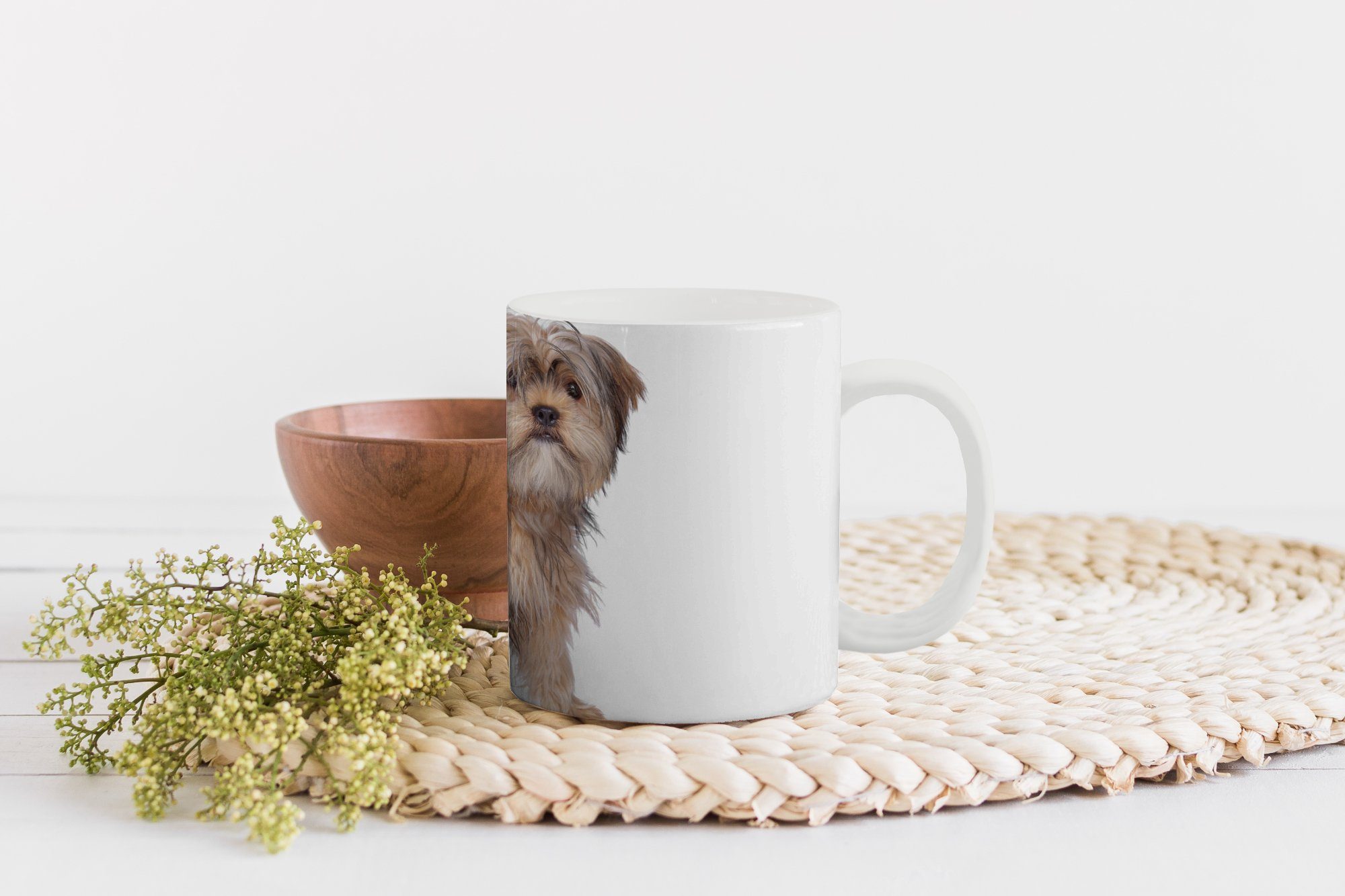 MuchoWow Tasse Shih Tzu Hund Teetasse, auf Keramik, Kaffeetassen, Hintergrund, einem weißen Becher, Geschenk Teetasse