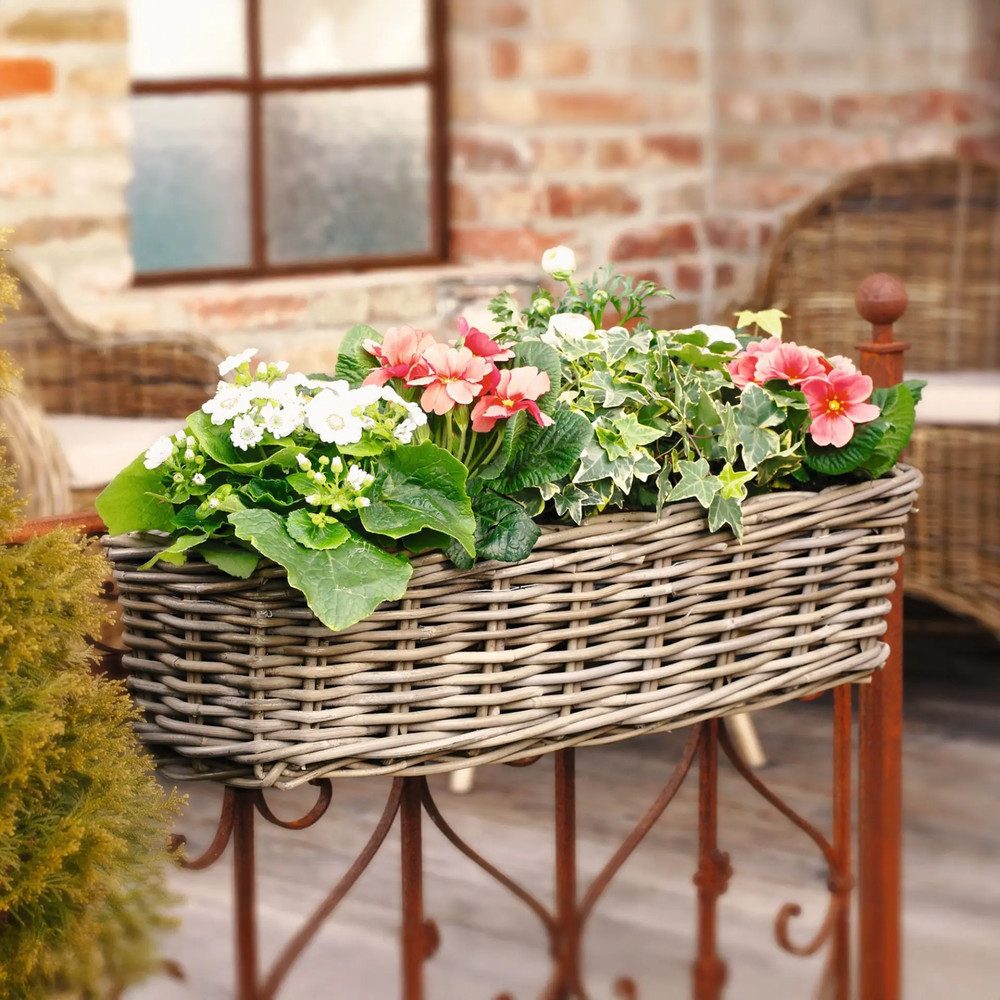 Thumbnail - Home-trends24.de Balkonkasten Rattan Blumenkasten Blumenkästen Blumentopf mit Metallbügel 58 cm