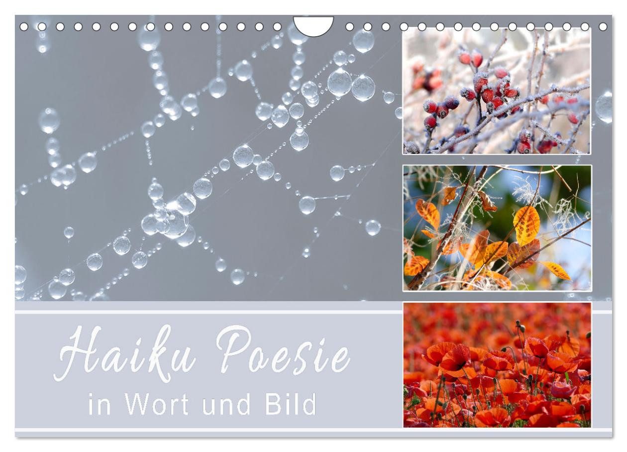 CALVENDO Wandkalender Haiku Poesie in Wort und Bild (Wandkalender 2027 DIN A4 quer), CALVEND