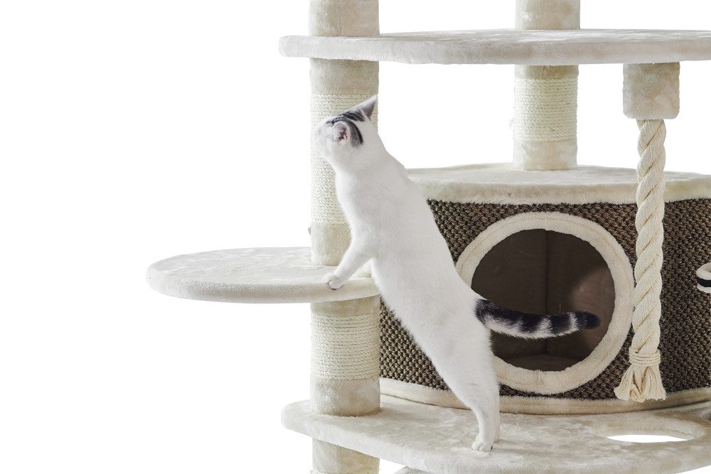 Nobby Kratzbaum Kratzbaum "ELIF"