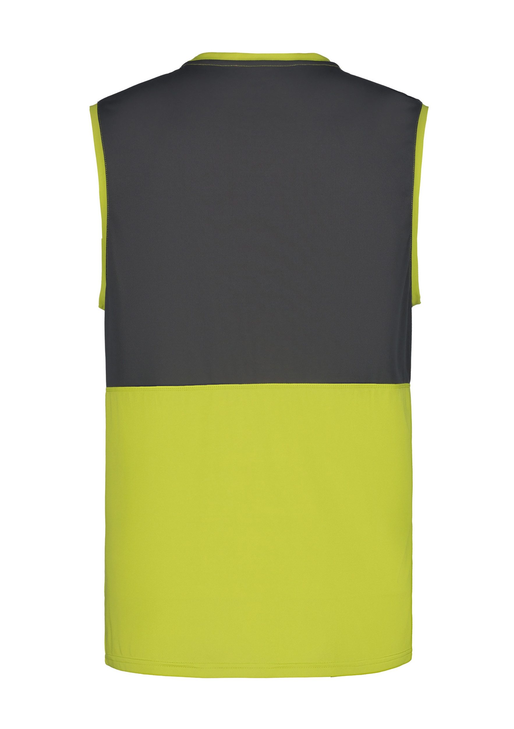 Icepeak Funktionsshirt ICEPEAK BLAINE ALOE