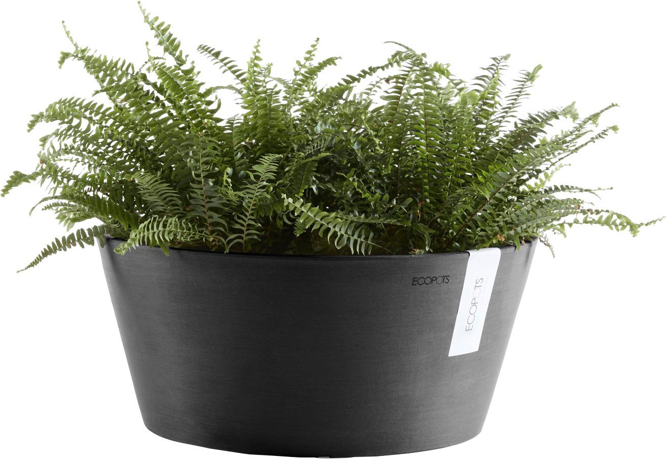 Thumbnail - ECOPOTS Blumentopf FRANKFURT Dark Grey, BxTxH: 30,5x30,5x15 cm