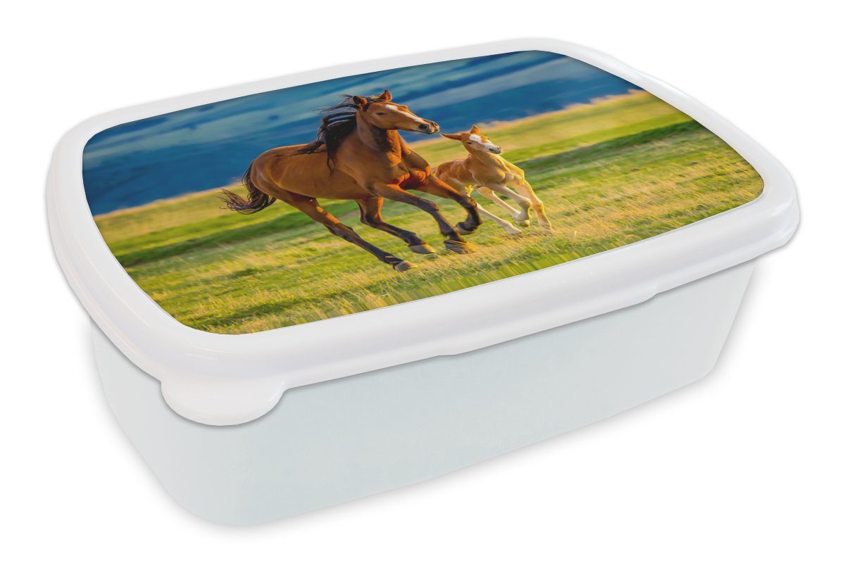 MuchoWow Lunchbox Pferde - Gras - Tiere - Landschaft - Natur, Kunststoff, (2-tlg), Brotbox für Kinder und Erwachsene, Brotdose, für Jungs und Mädchen weiß