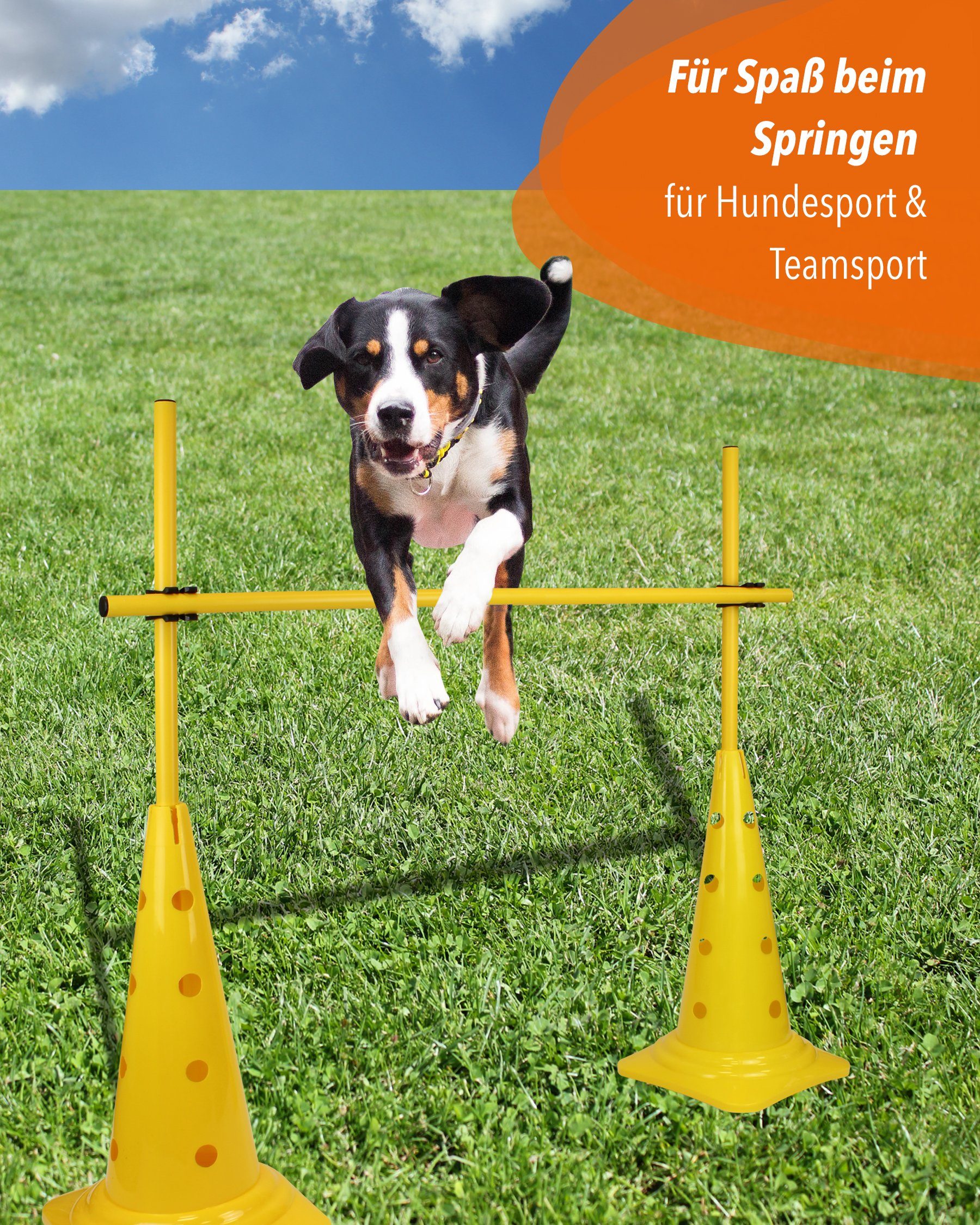 SPORTIKEL24 Hürde Kegel 50 Hürdenset mit Stangen 100 cm Farbe Blau