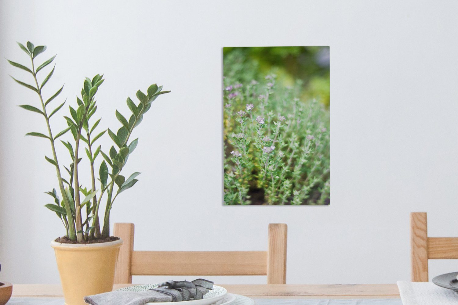 OneMillionCanvasses® Leinwandbild Nahaufnahme von Gemälde, (1 wachsenden Thymianpflanzen fertig inkl. bespannt Zackenaufhänger, Leinwandbild St), einem cm 20x30 Garten, hübschen in