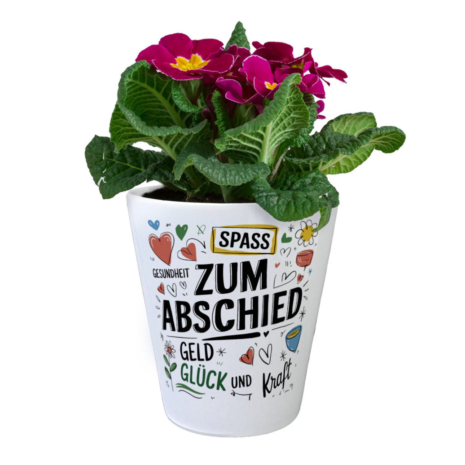 speecheese Blumentopf Wünsche Zum Abschied Blumentopf günstig online kaufen