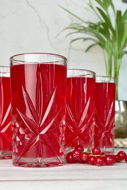 Sendez Gläser-Set 6 Longdrinkgläser 300ml mit Relief Trinkgläser Cocktailgläser, Glas