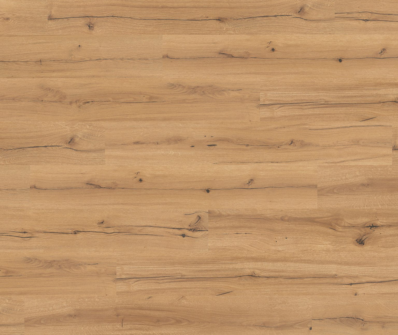 PARADOR Laminat PARADOR Laminat Basic 400 – 8 mm, NKL 23/32, PARADOR Laminat Basic 400: 8 mm, NKL 23/32