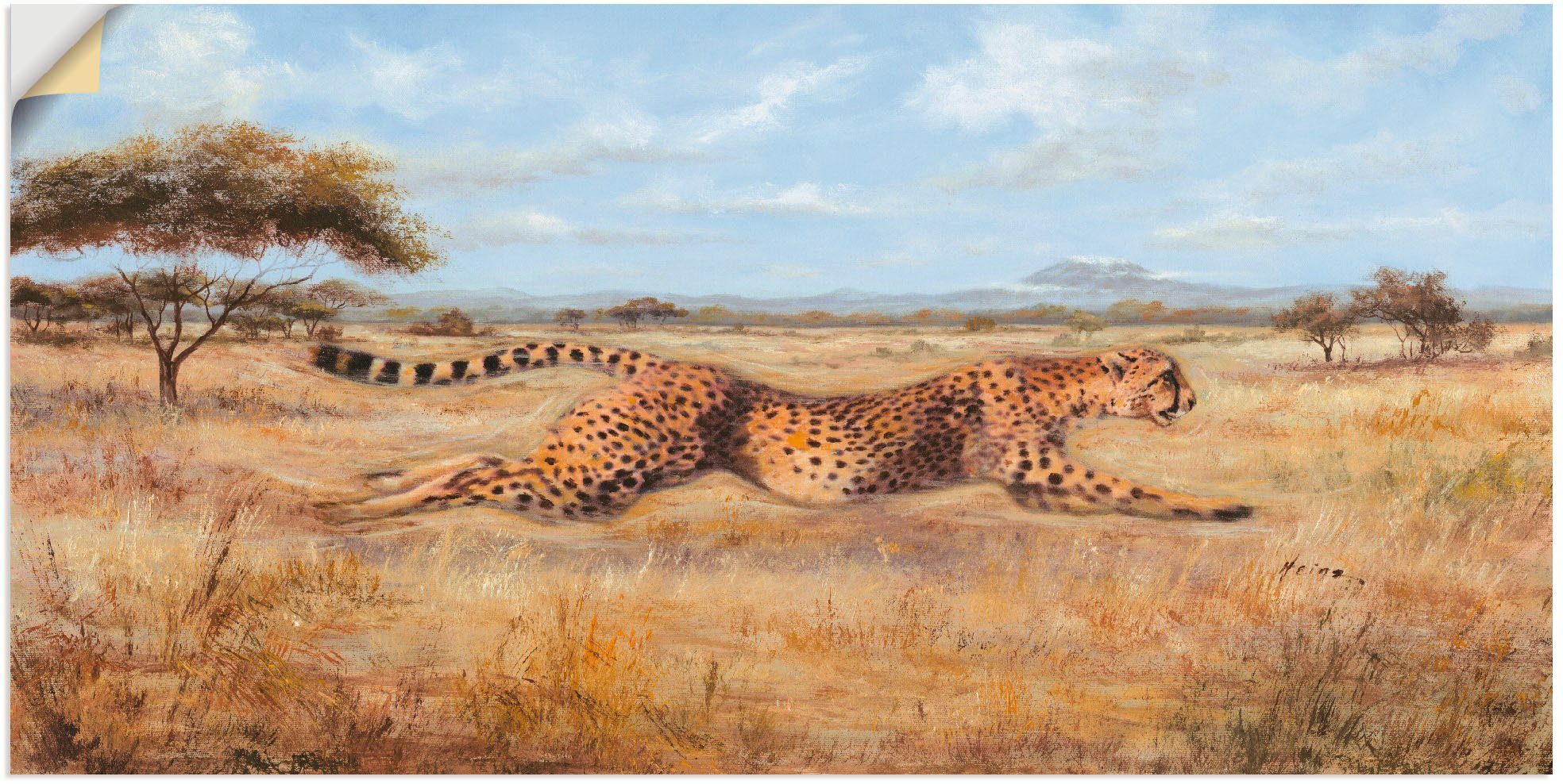 Laufender oder Poster Leinwandbild, (1 Artland versch. Alubild, Wildtiere in Gepard, als Wandbild Größen Wandaufkleber St),