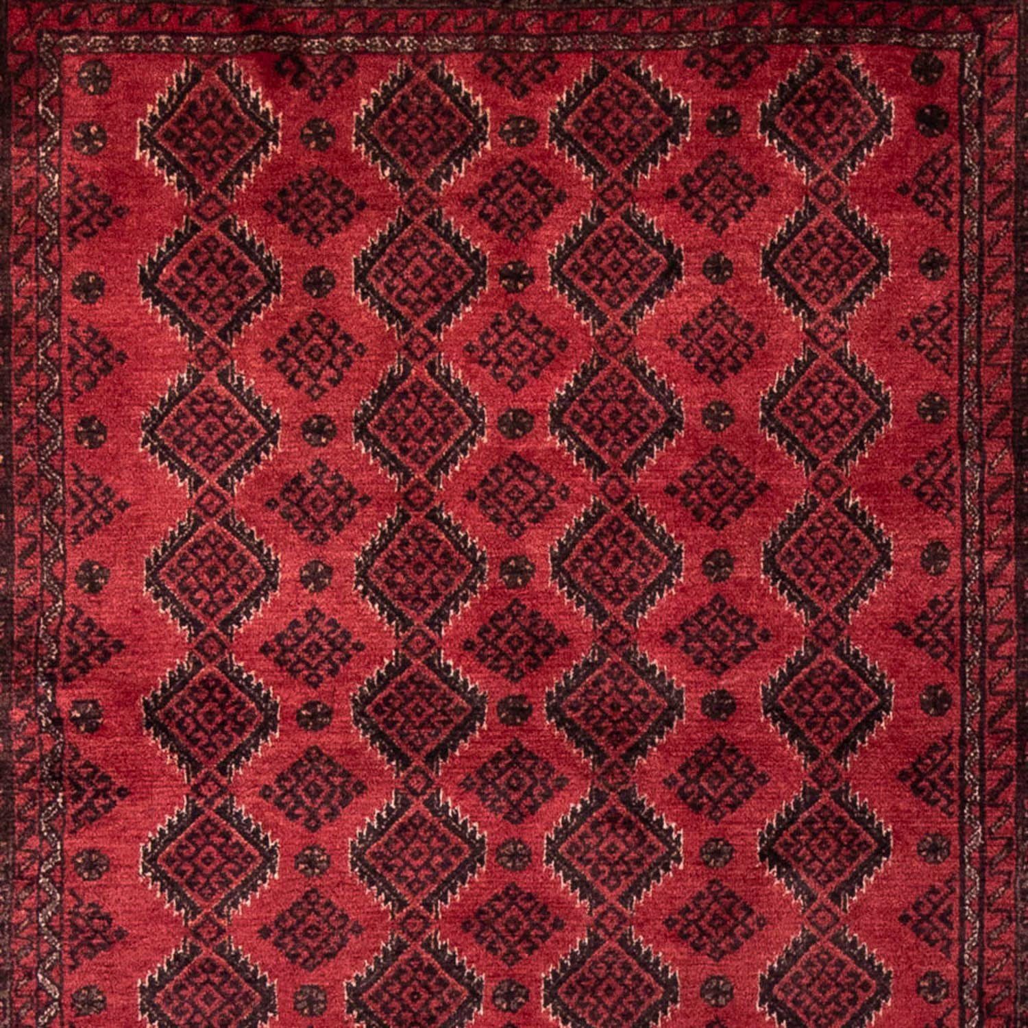 Durchgemustert Belutsch Höhe: Handgeknüpft 113 Rosso x Hochflor-Läufer cm, mm, scuro rechteckig, 8 230 morgenland,