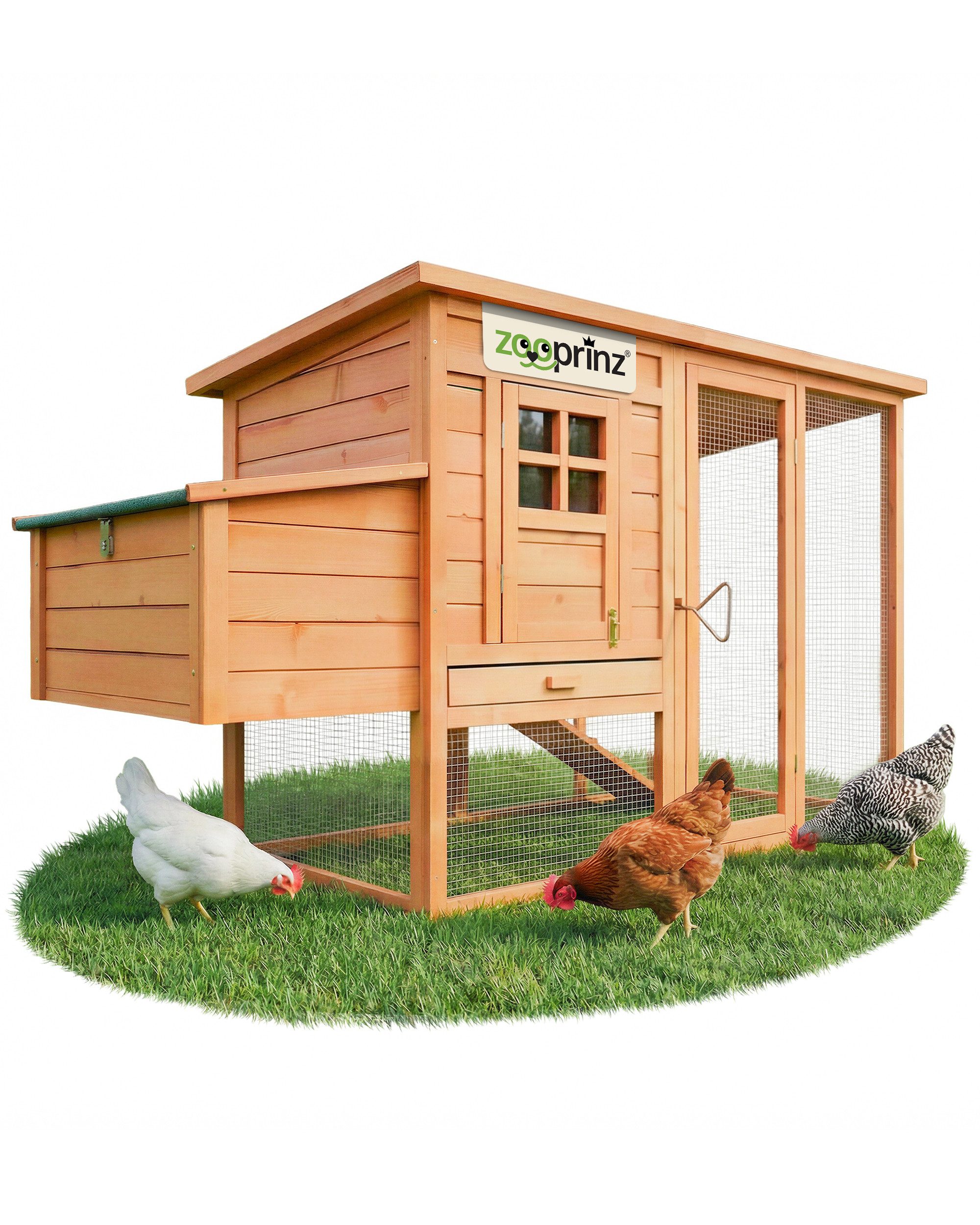 Zooprinz Hühnerstall Hühnerhaus Modell XXL mit Klappdach und Freilaufgehege, 182x103x75 cm (BxHxT), Bitumendach, Nistkasten