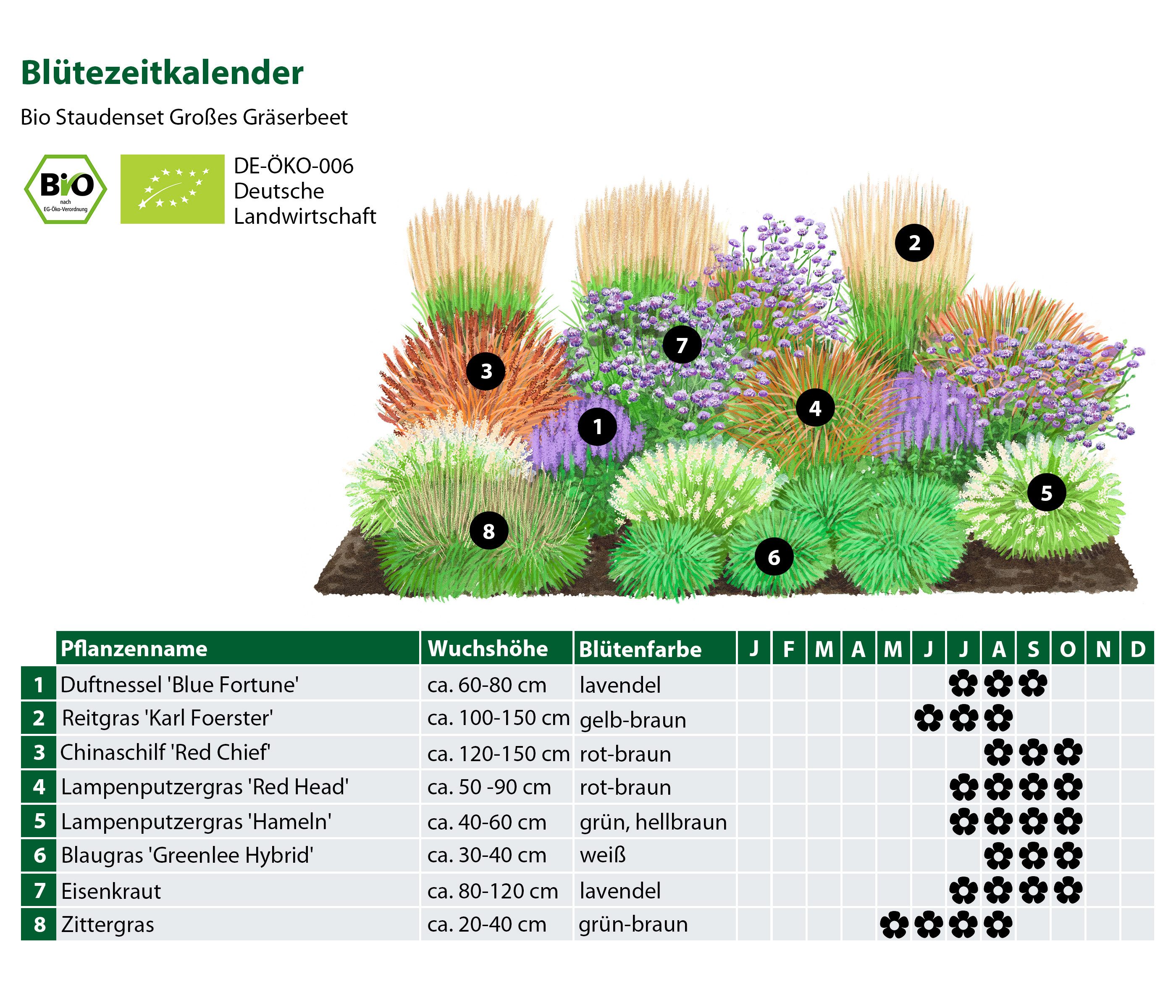 Dehner Staude Bio Stauden-Set Großes Gräser-Beet, 24 Stück, je 10 cm, Gräser- und Stauden-Mix für sonnige bis halbschattige Standorte