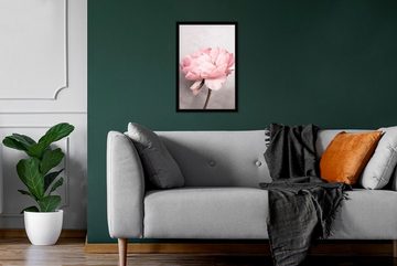 MuchoWow Poster Blumen - Rosa - Natur - Pflanze, (1 St), Gerahmtes Poster, Wanddeko, Bilder, Wandposter, Schwarzem Bilderrahmen
