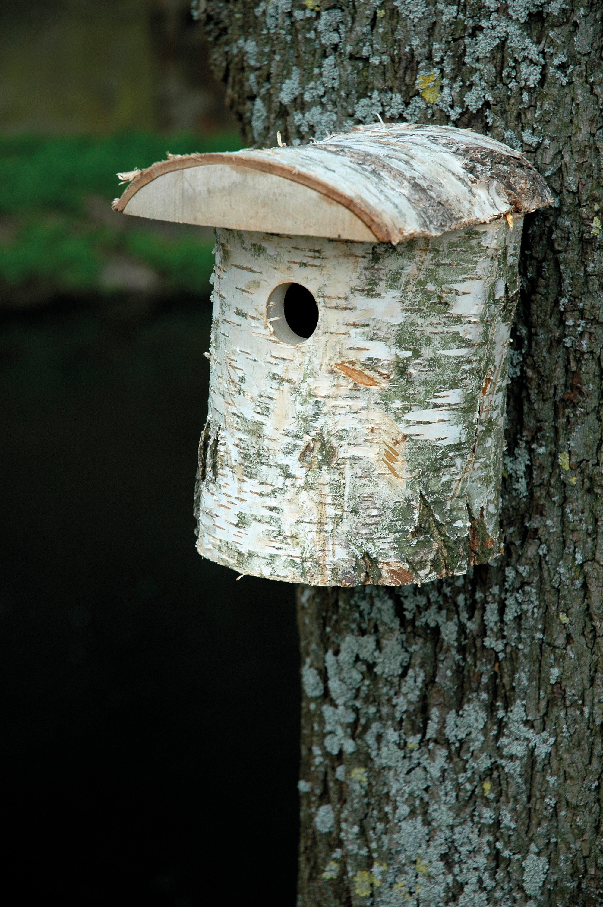dobar Vogelhaus Birkenstamm-Nistkasten mit Rinde