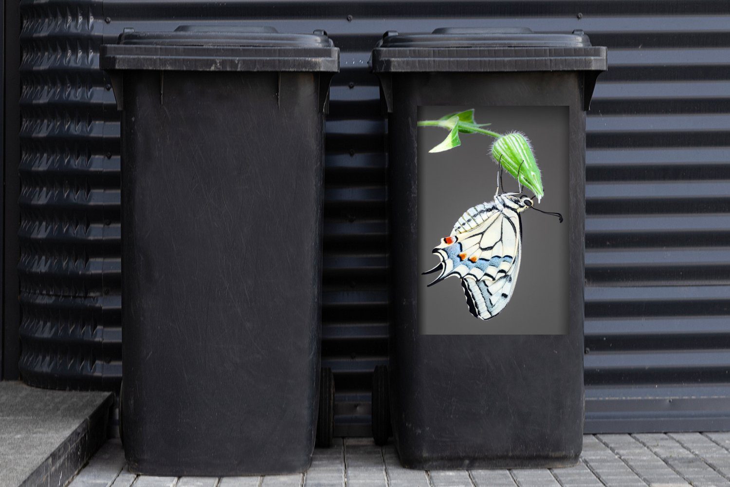 MuchoWow Blütenknospe Sticker, St), Abfalbehälter Container, Schwalbenschwanzschmetterling einer Wandsticker Mülltonne, Mülleimer-aufkleber, (1 auf
