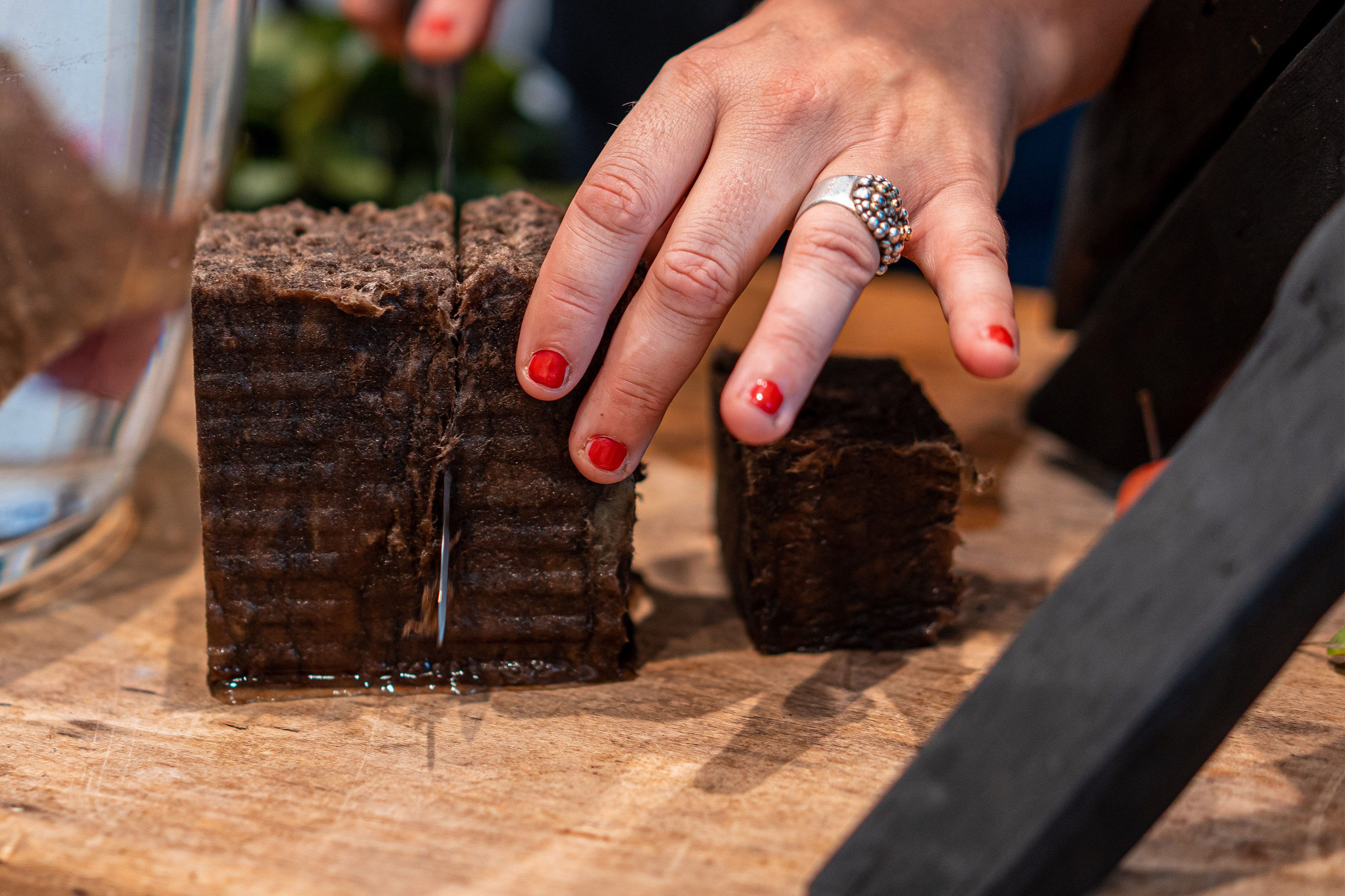 Creativery Bastelmoos, Steckmasse Ziegel 23x10x7,5cm kompostierbar & abbaubar 20 Stück