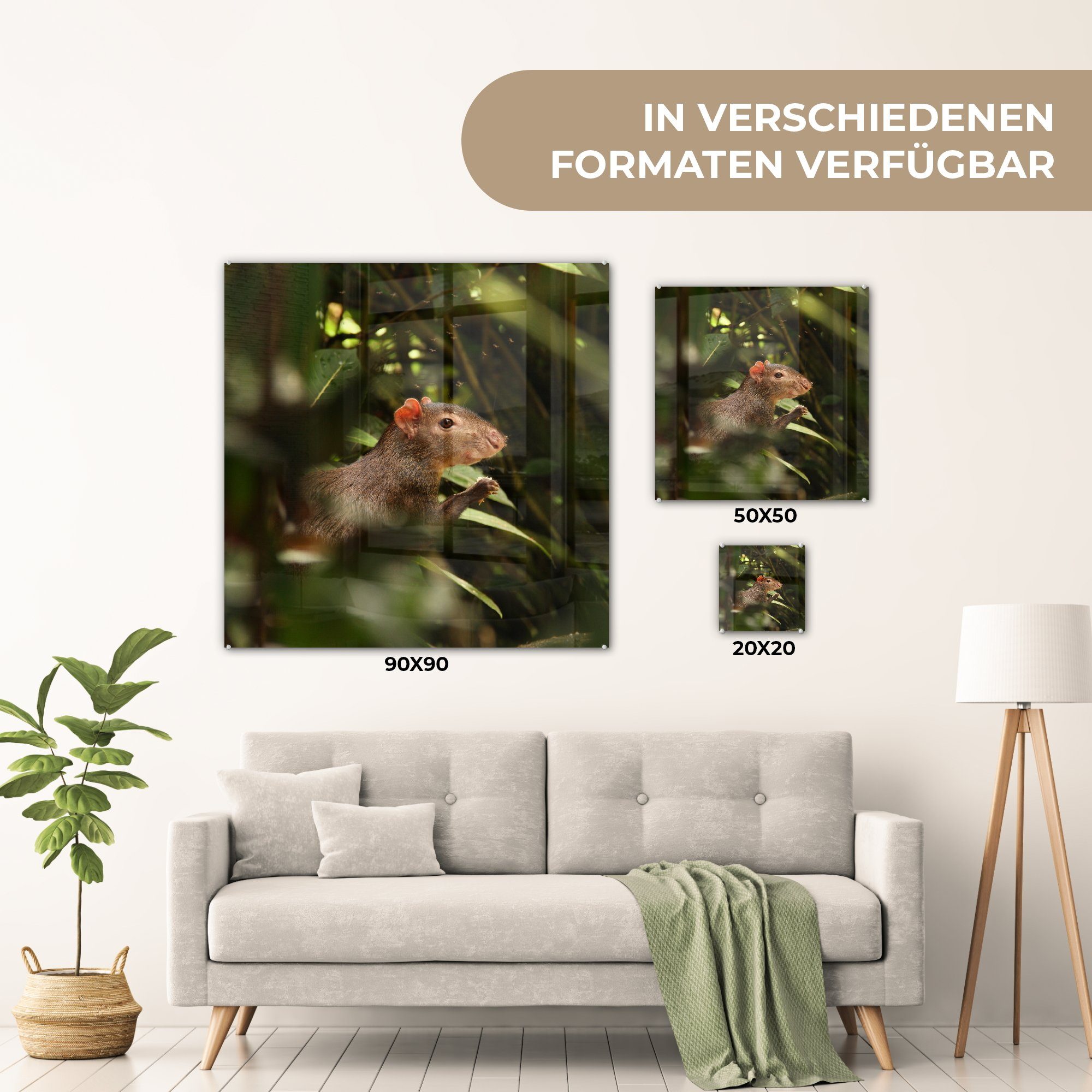 MuchoWow St), auf (1 Bilder Acrylglasbild Agoeti Wandbild zwischen auf Glas Glas Glasbilder Bäumen, - den Foto - Wanddekoration -